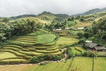 Sapa