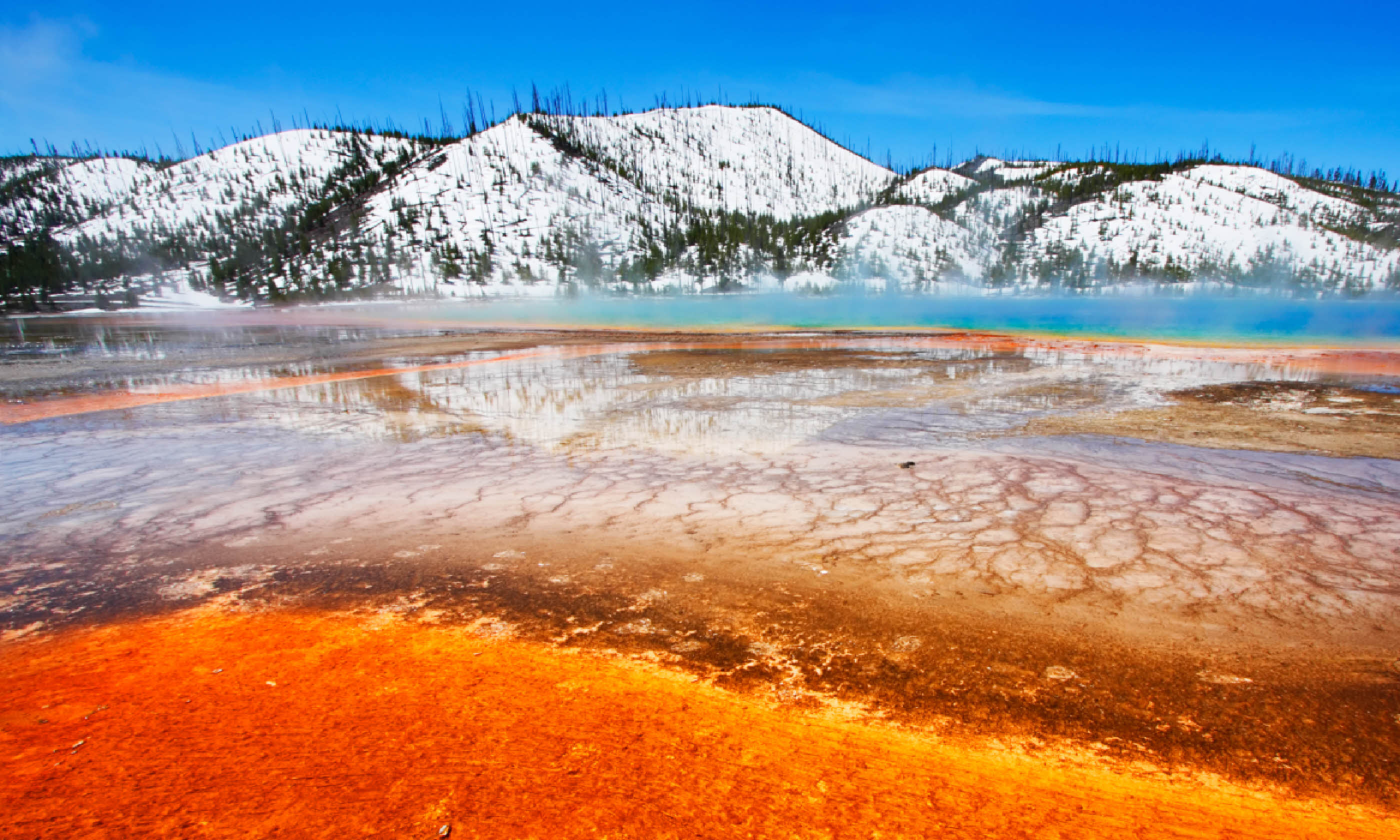 Grand Prismatic Spring, Yellowstone NP (Shutterstock)