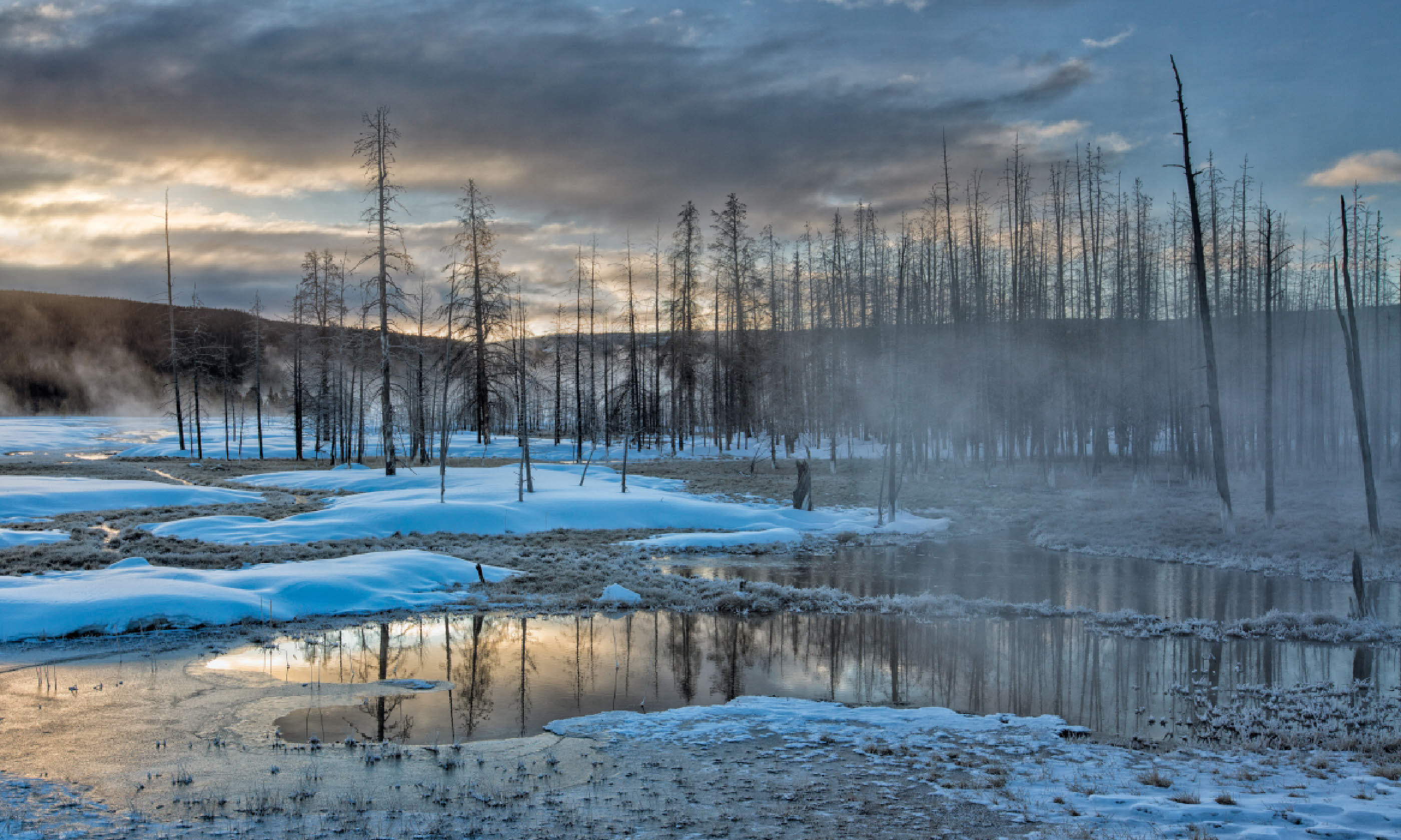 Dawn in Yellowstone National Park (Shutterstock)