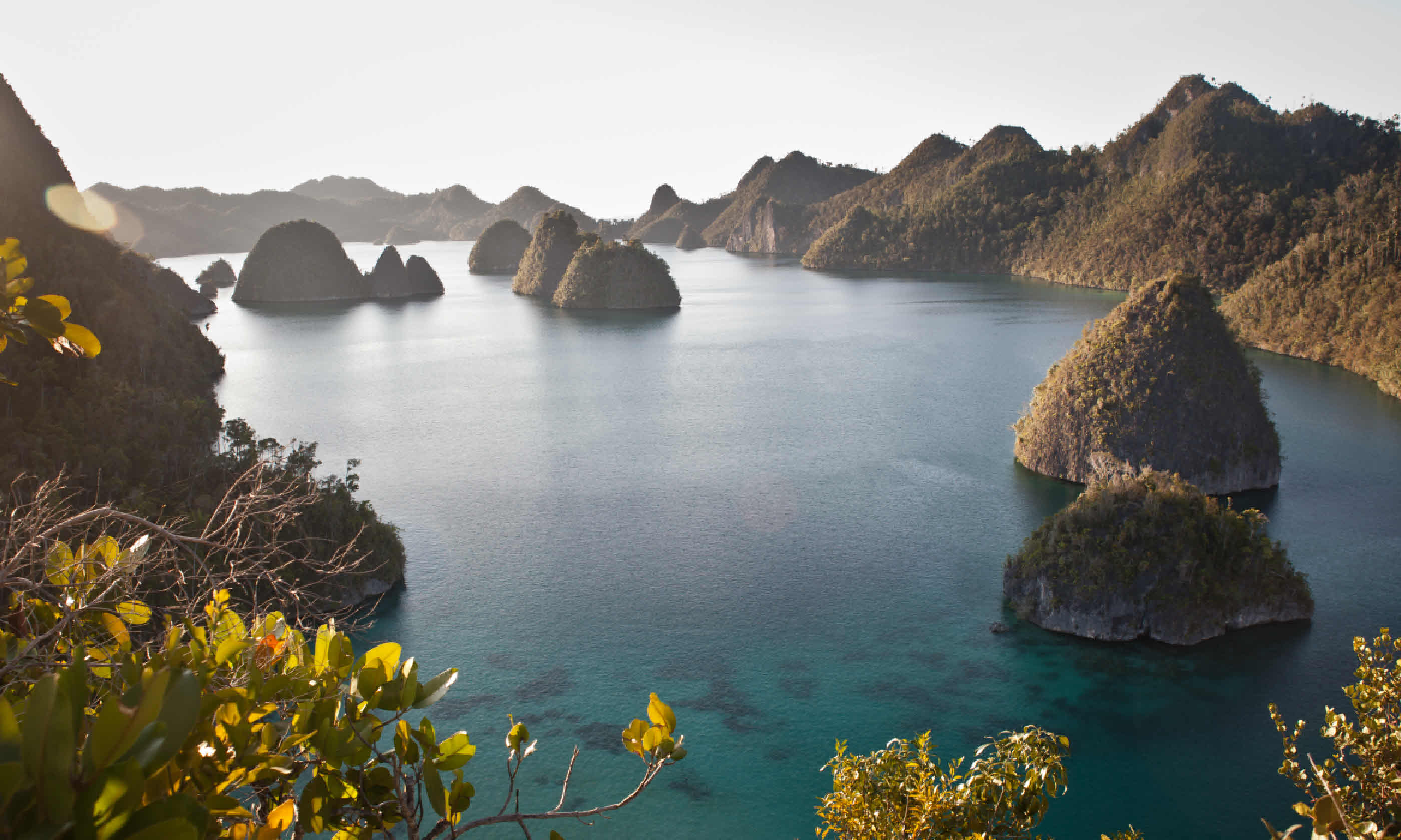 Limestone islands in Wayag, Raja Ampat (Shutterstock: see credit below)