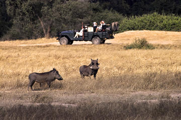 Lower Zambezi National Park