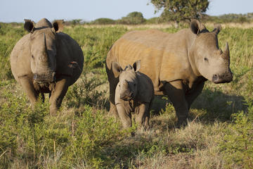 Mosi-Oa-Tunya National Park