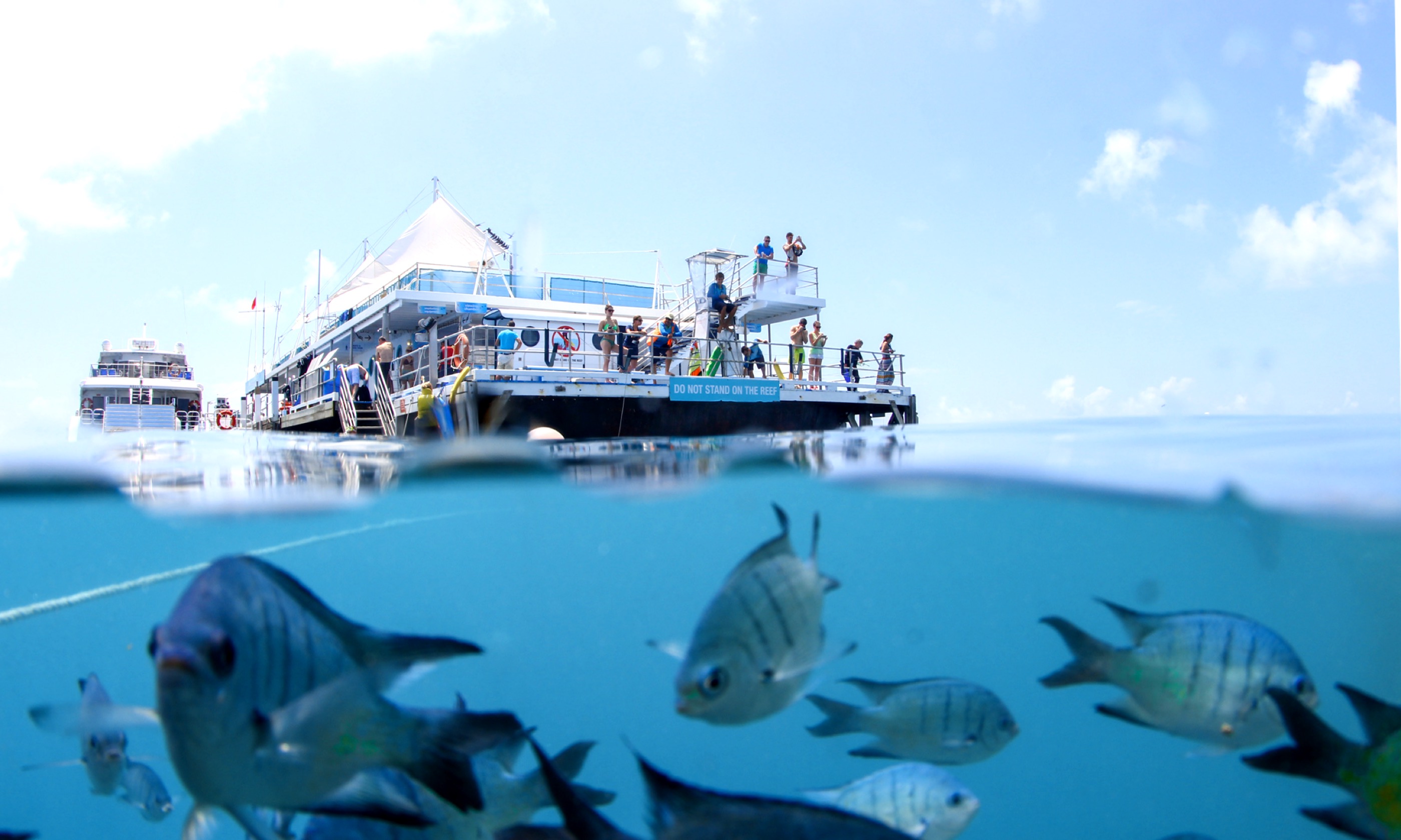 Reef sleep pontoon (Britt Collins)