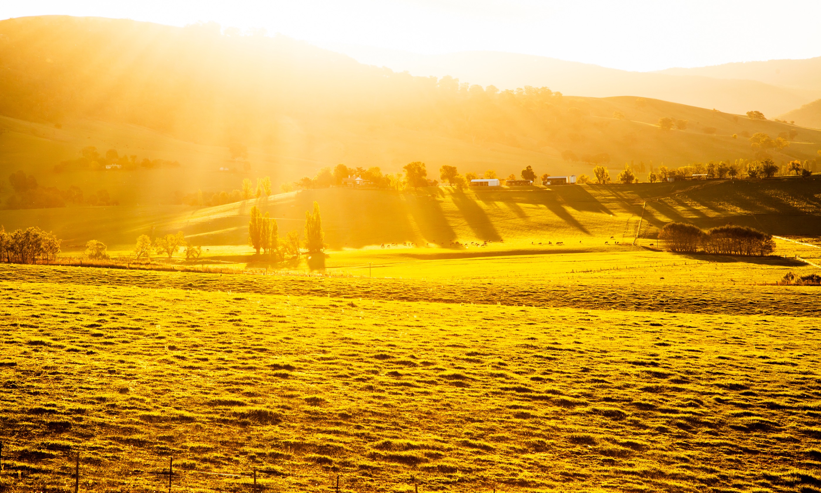 Sunset over an Australian farm (Shutterstock.com)