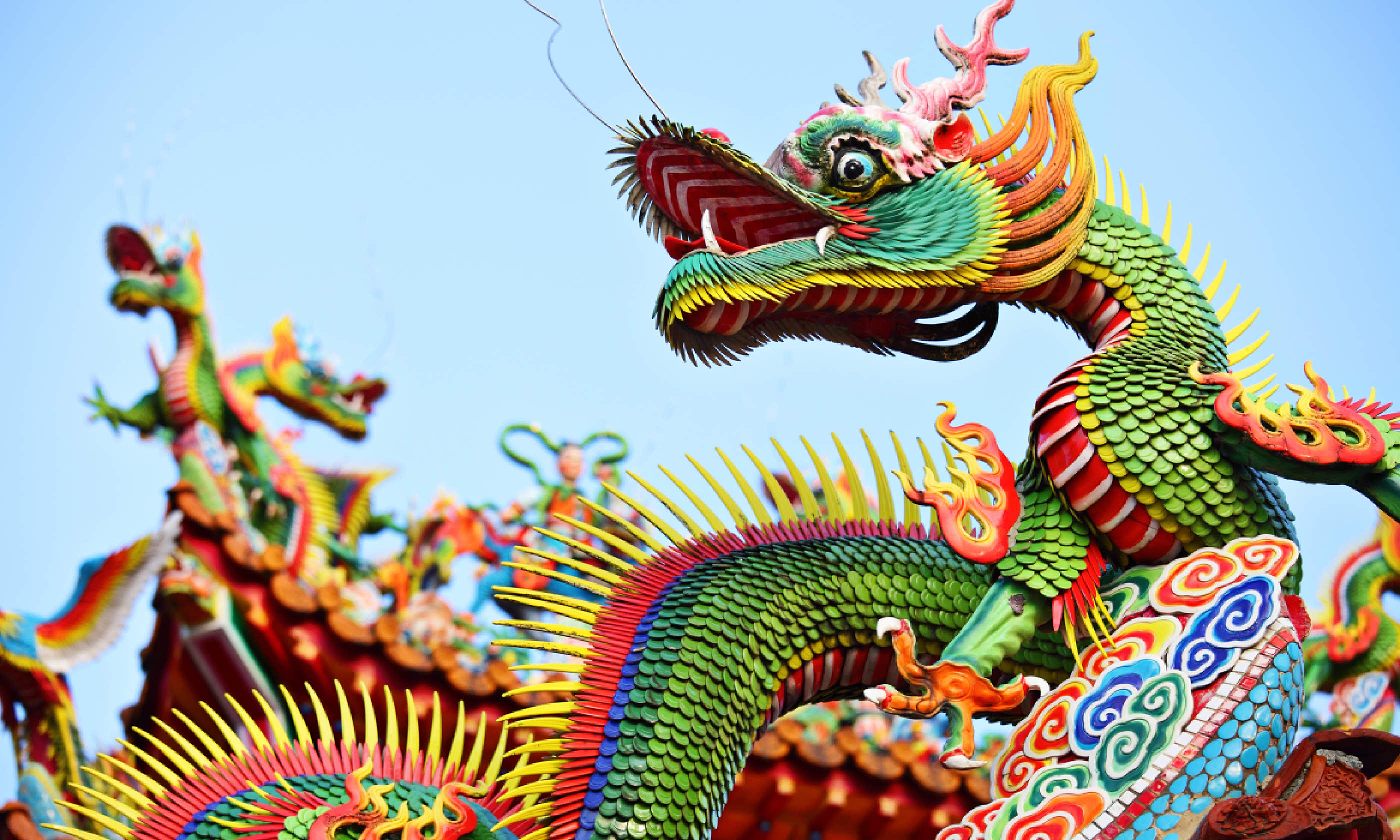 Asian temple dragon (Shutterstock)
