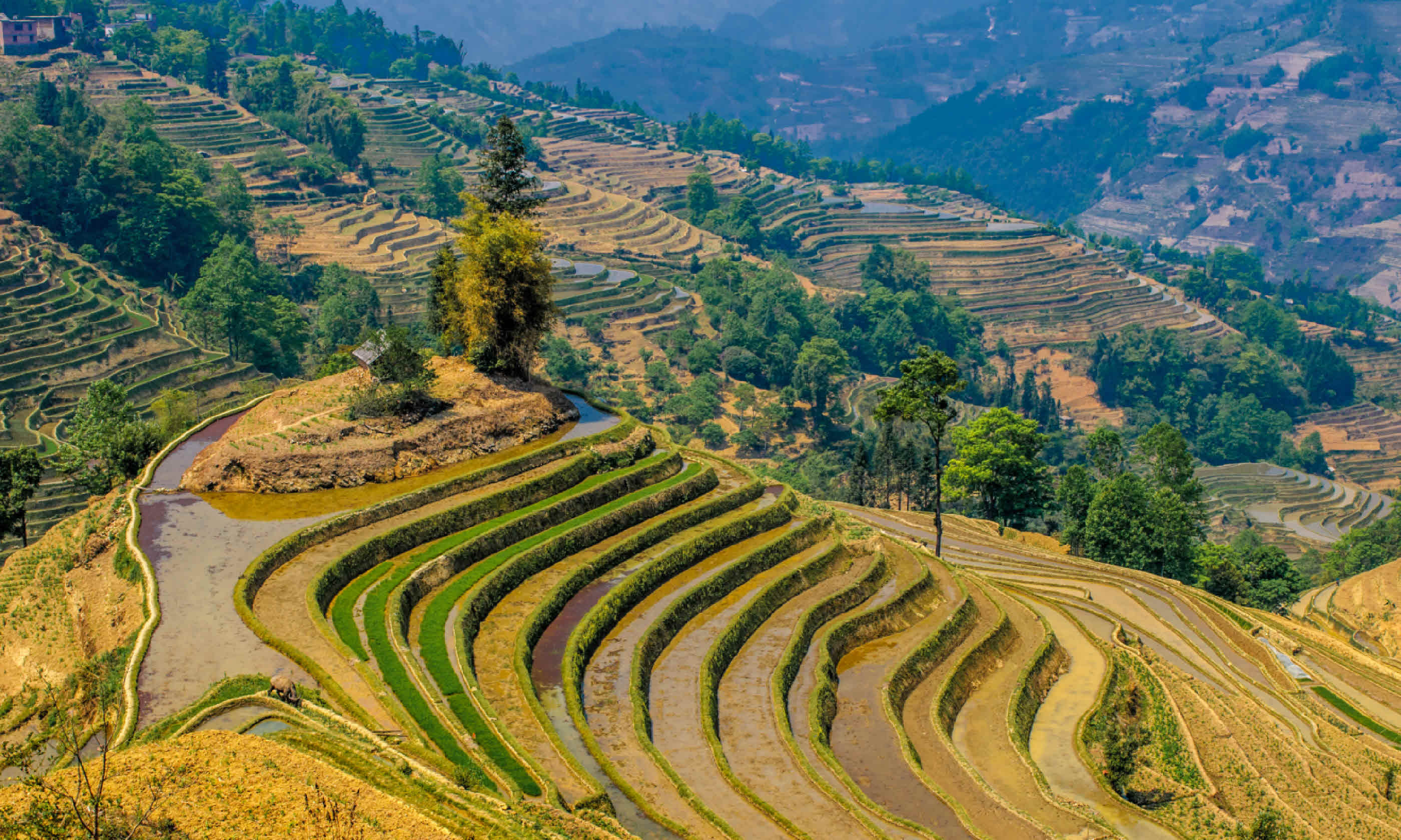 Rice terraces of Yuanyang, Yunnan (Shutterstock)