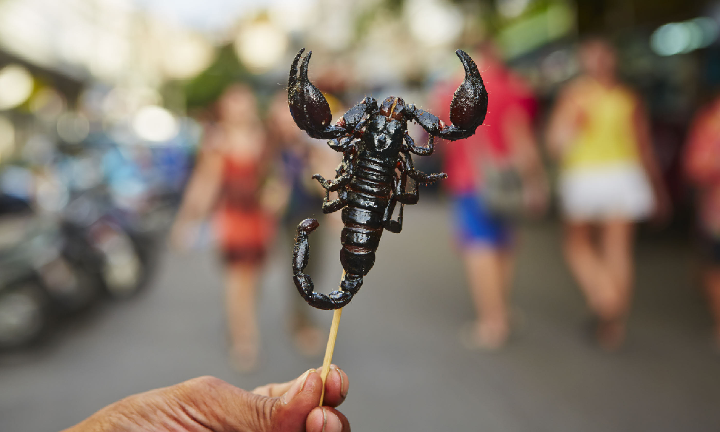 Roasted scorpion (Shutterstock)