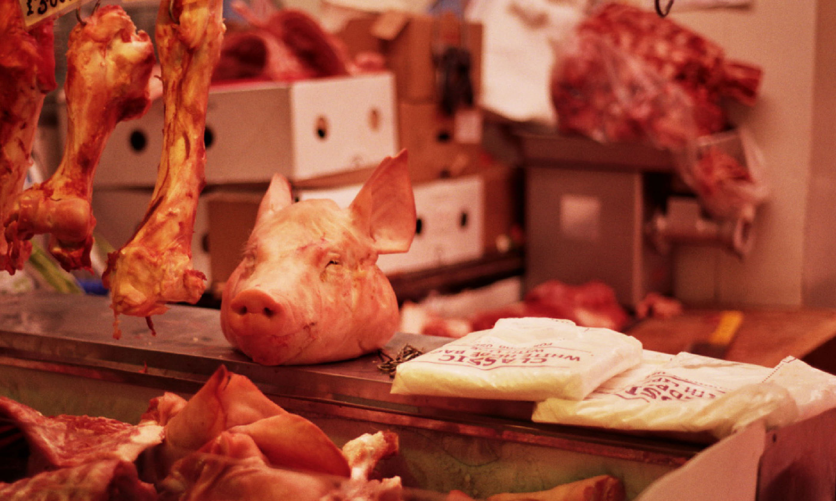 Pig's head in the butcher's (Flickr C/C: Walt Jabsco)