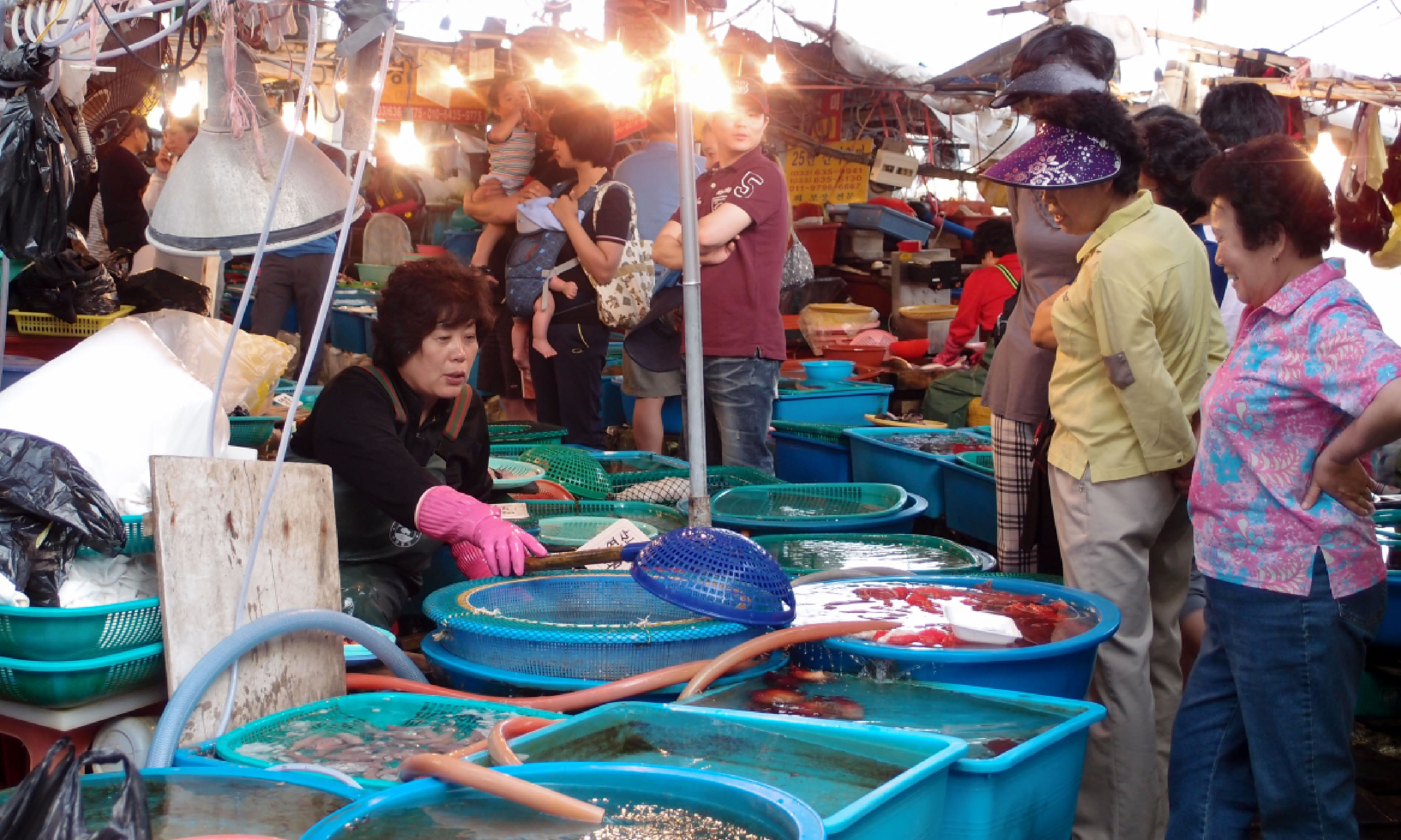 Fish market, South Korea (Shutterstock)