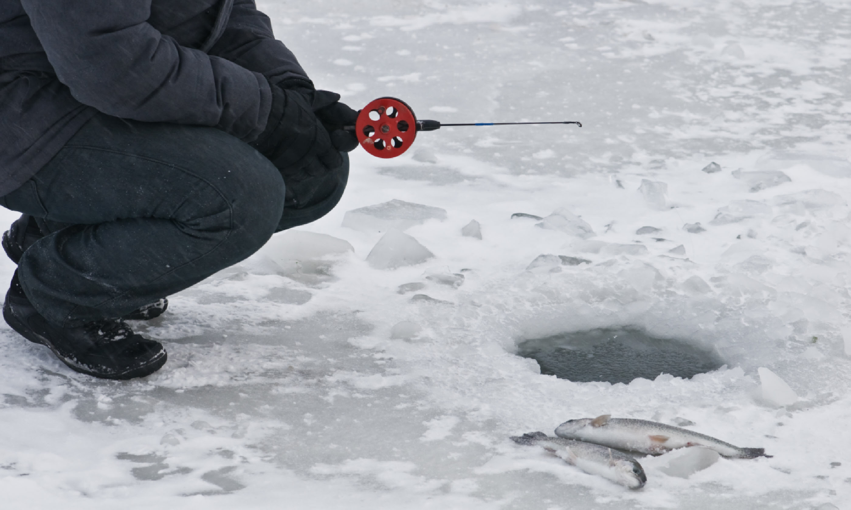 Trout fishing (Shutterstock)