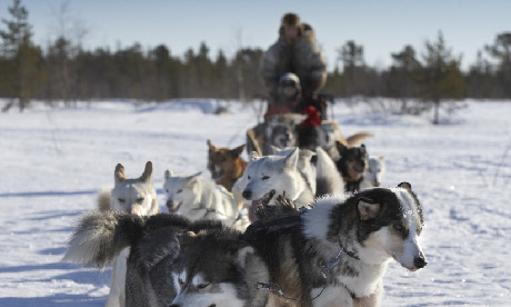 Husky Sledging - RTH Sigurdsson