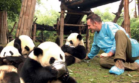 Nigel MArven is fighting the good fight for the pandas (photo: Matthew Wright)