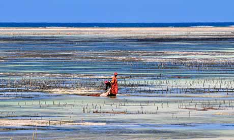 Zanzibar needs to master sustainable tourism (Tscherno)