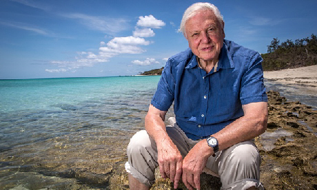 Great Barrier Reef with David Attenborough (Freddie Claire/BBC/Atlantic Productions)