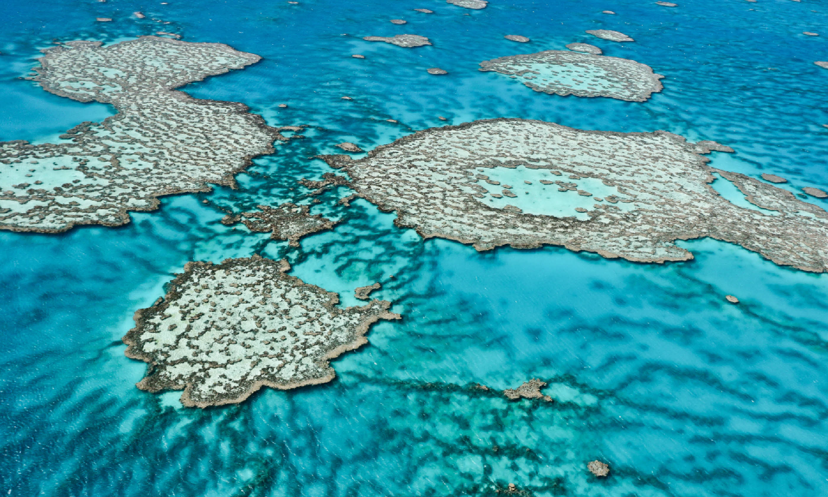 Great Barrier Reef (Shutterstock)