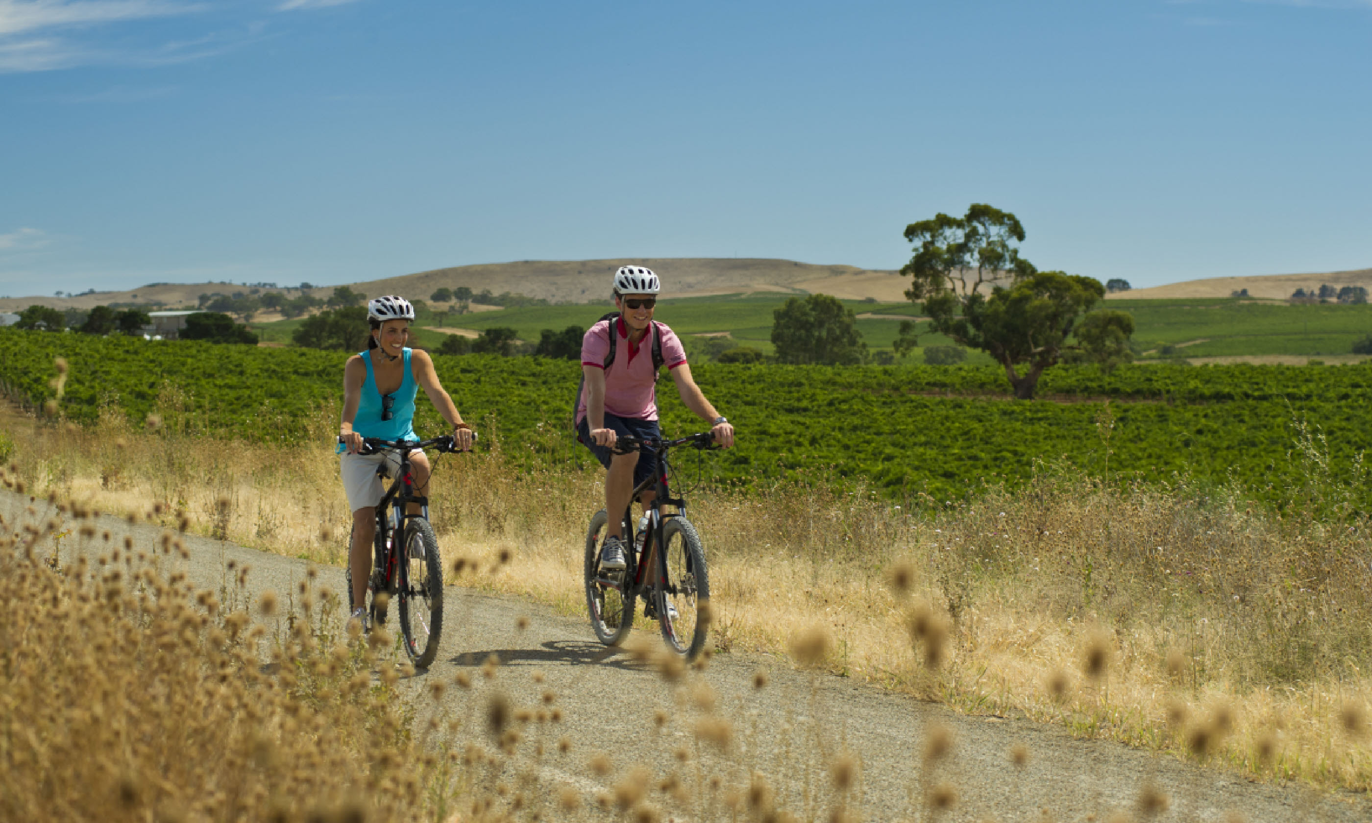Cycling the Riesling Trail (SATC)