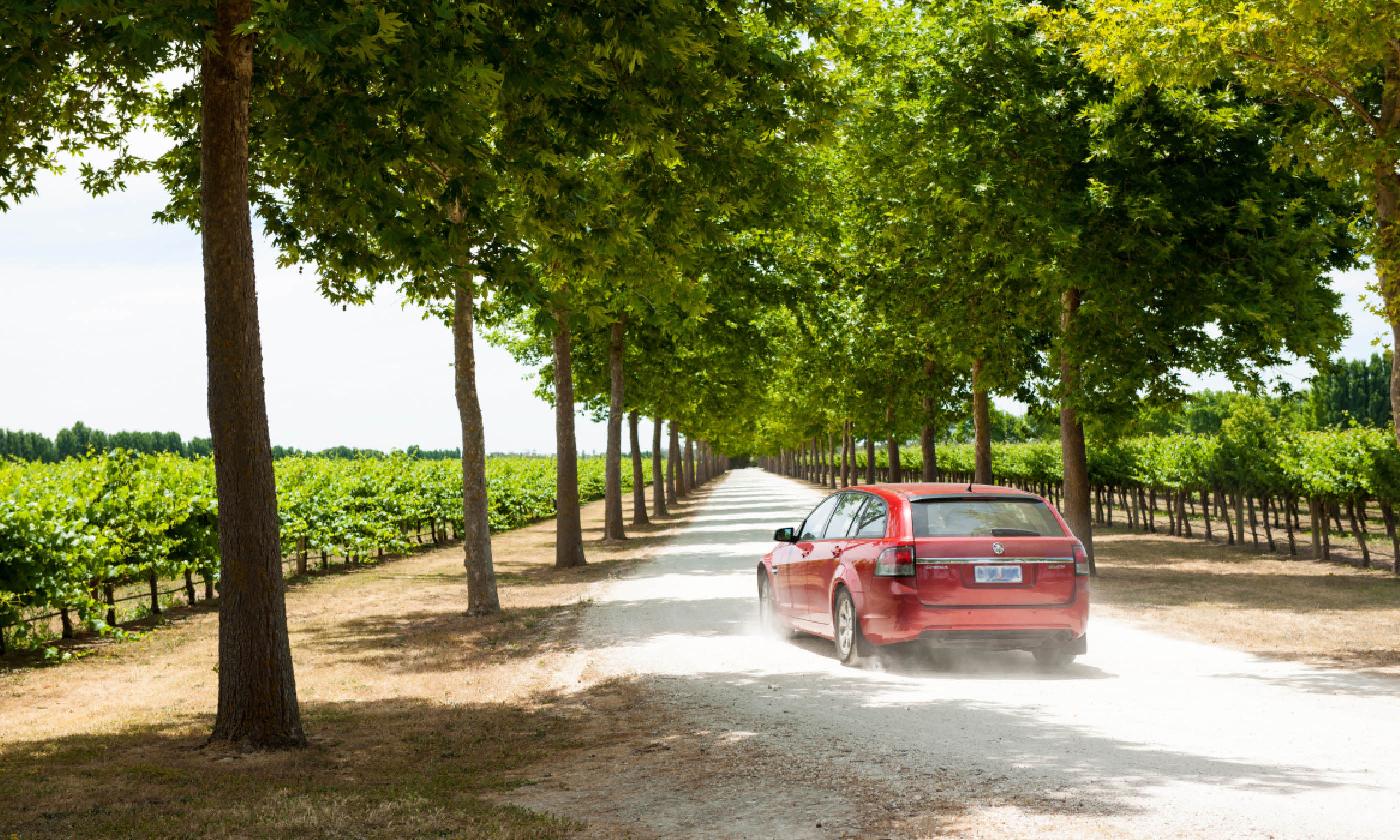 Driving through Barossa Valley (SATC)