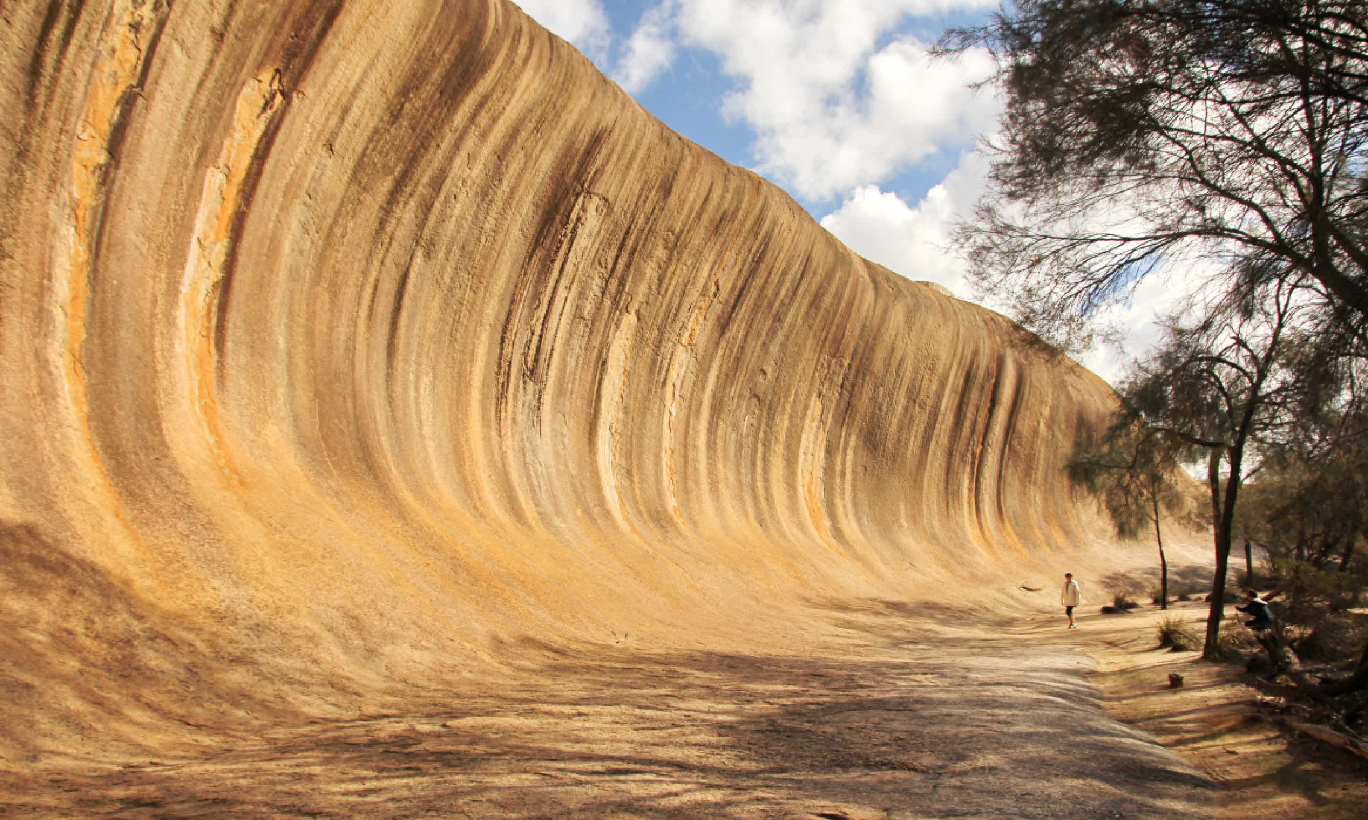 Wave rock (Shutterstock)