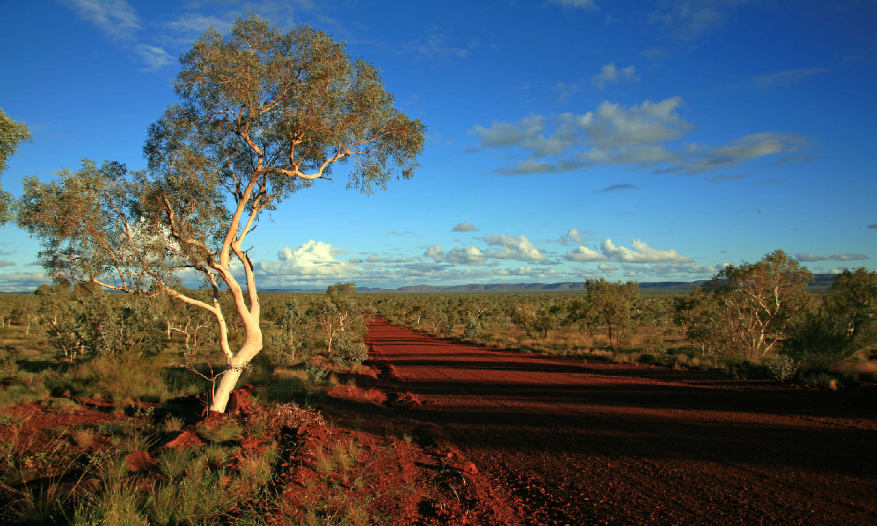 Western Australia outback (Shutterstock)