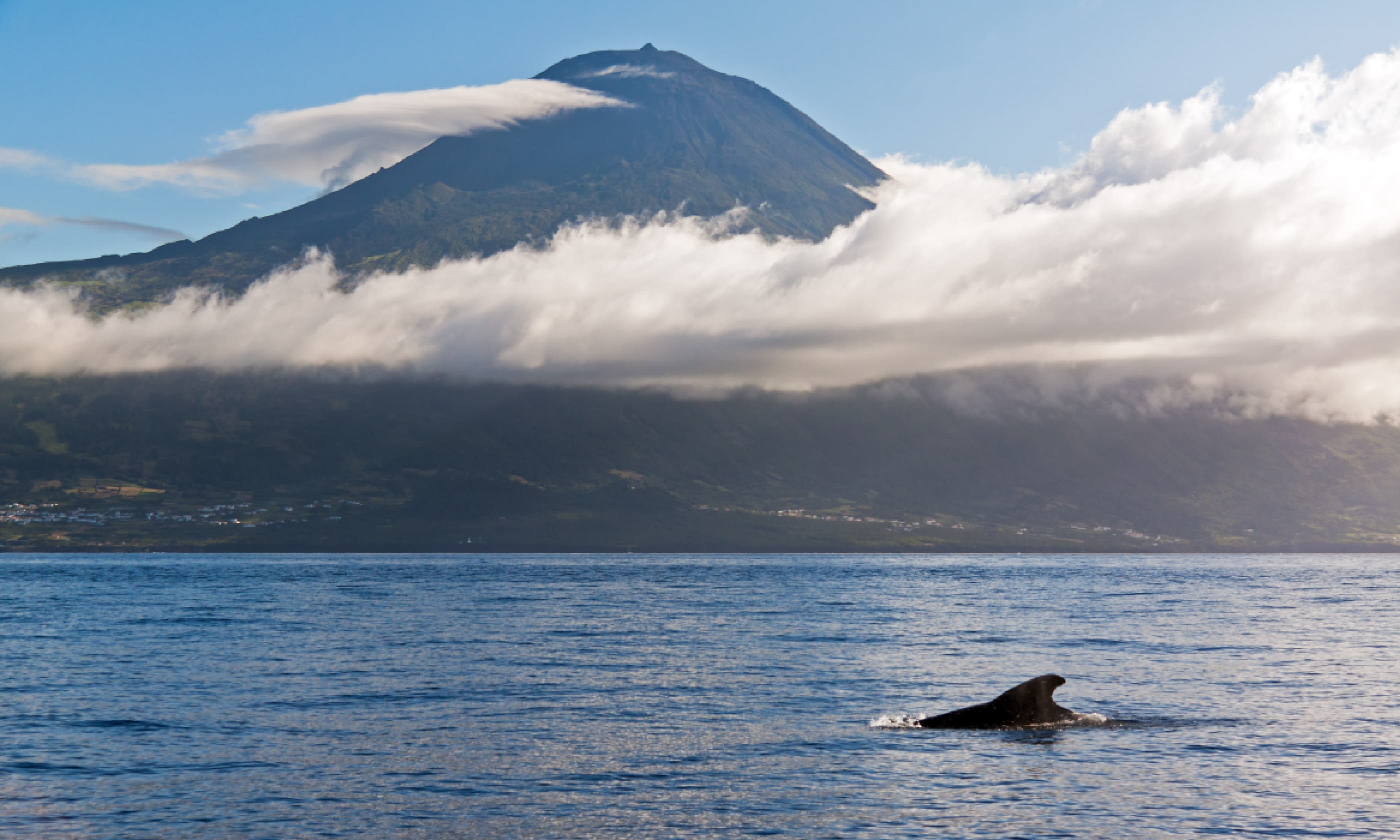 Mt Pico (Shutterstock)