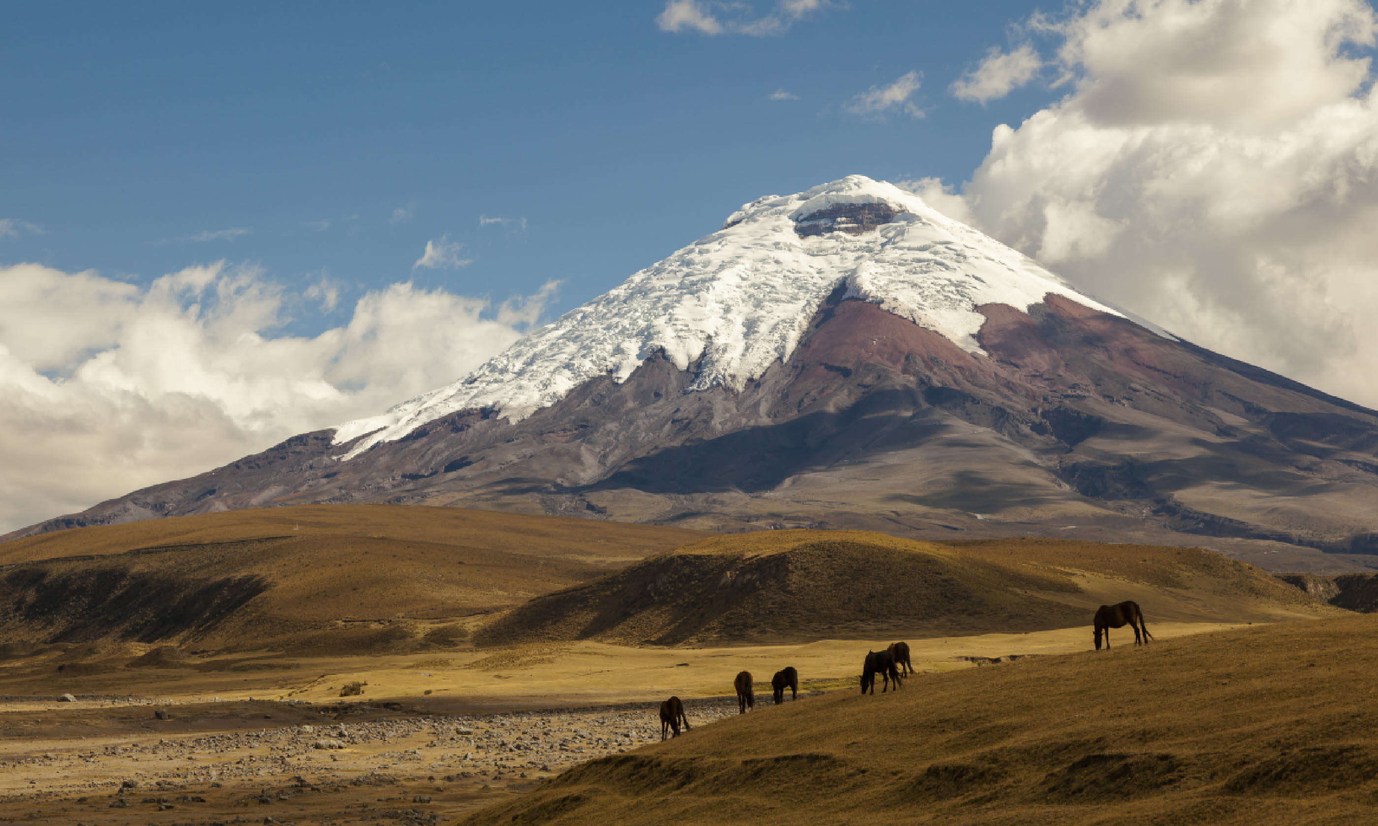 Cotopaxi volcano (Shutterstock)