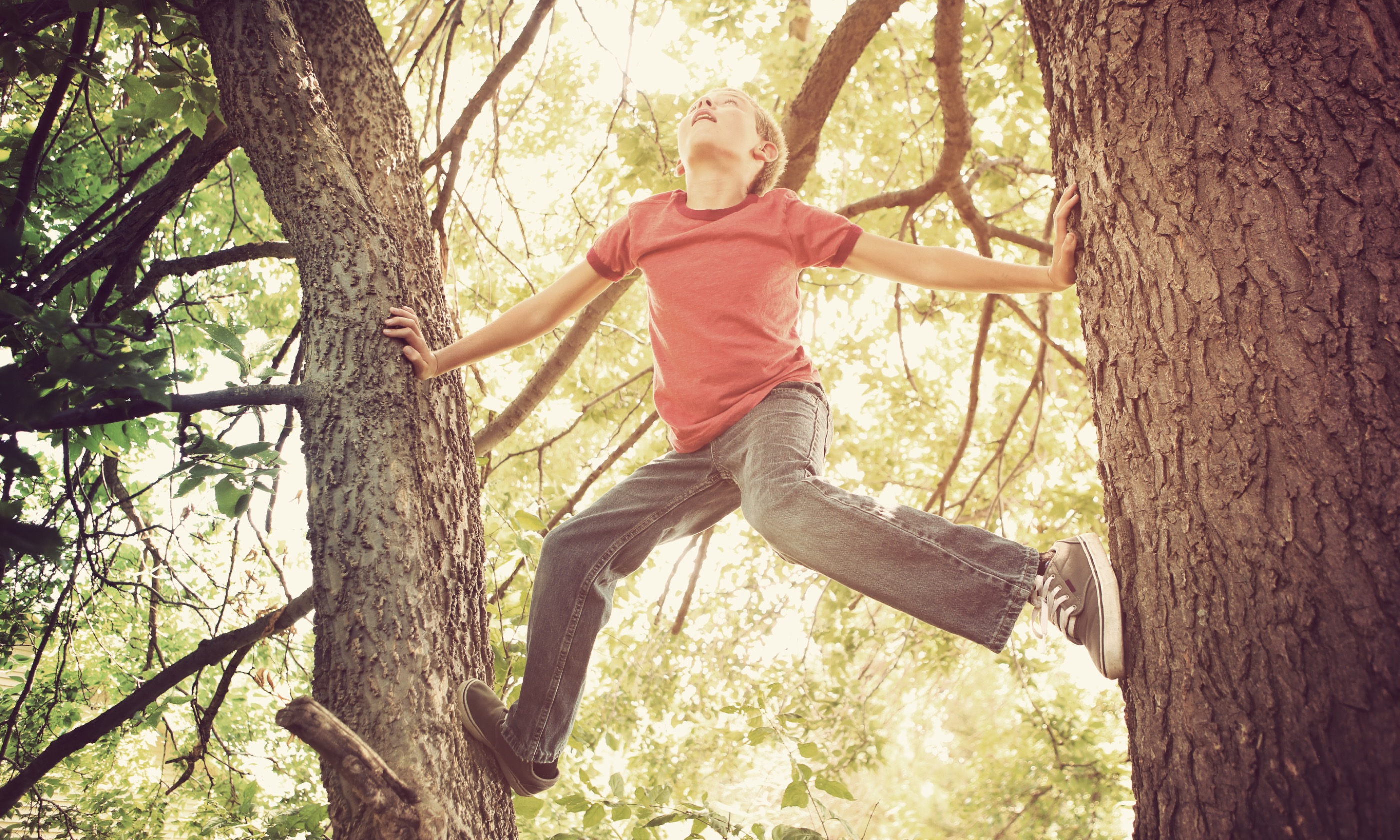 Boy climbing tree (Shutterstock.com. See main image below)