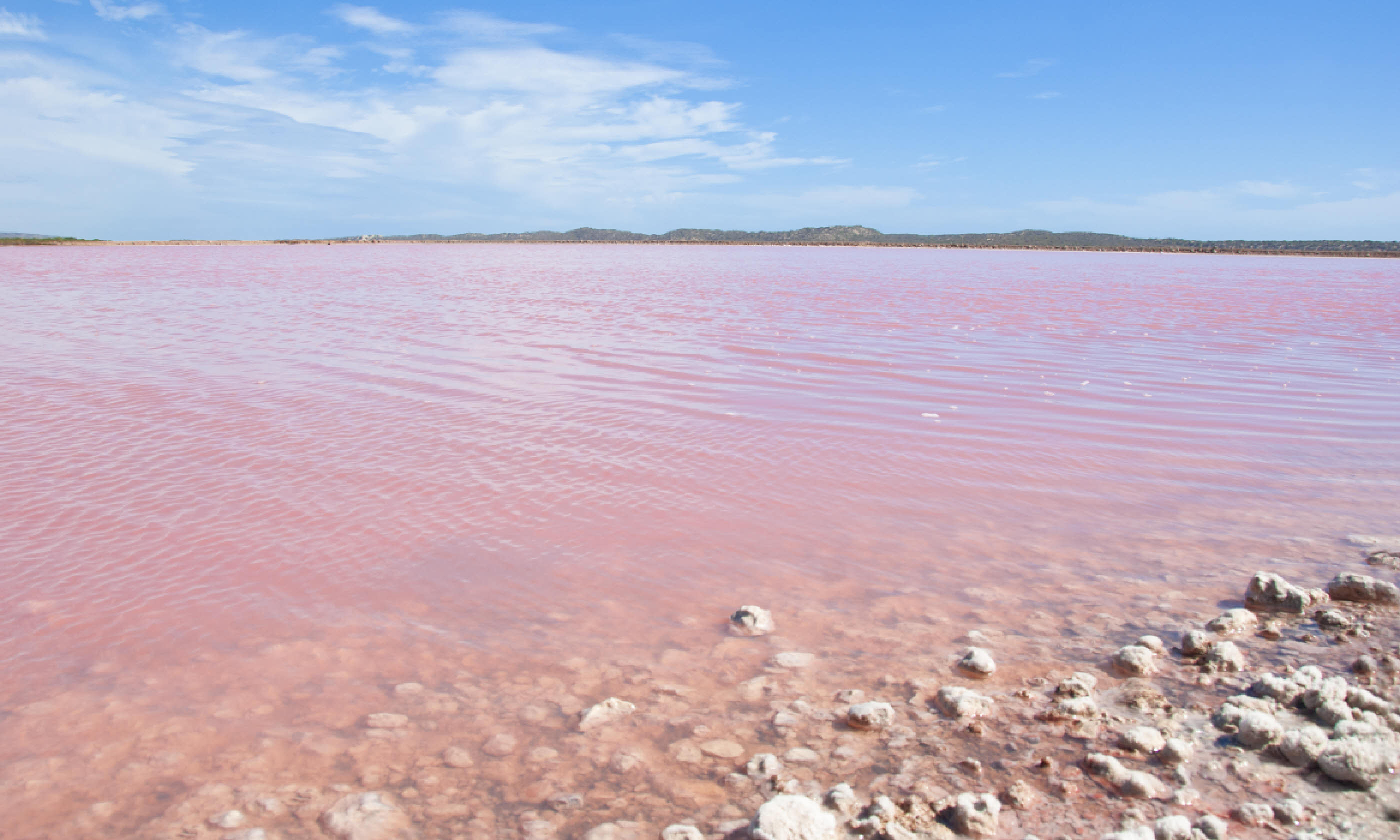 Pink Lake, Western Australia (Shutterstock)