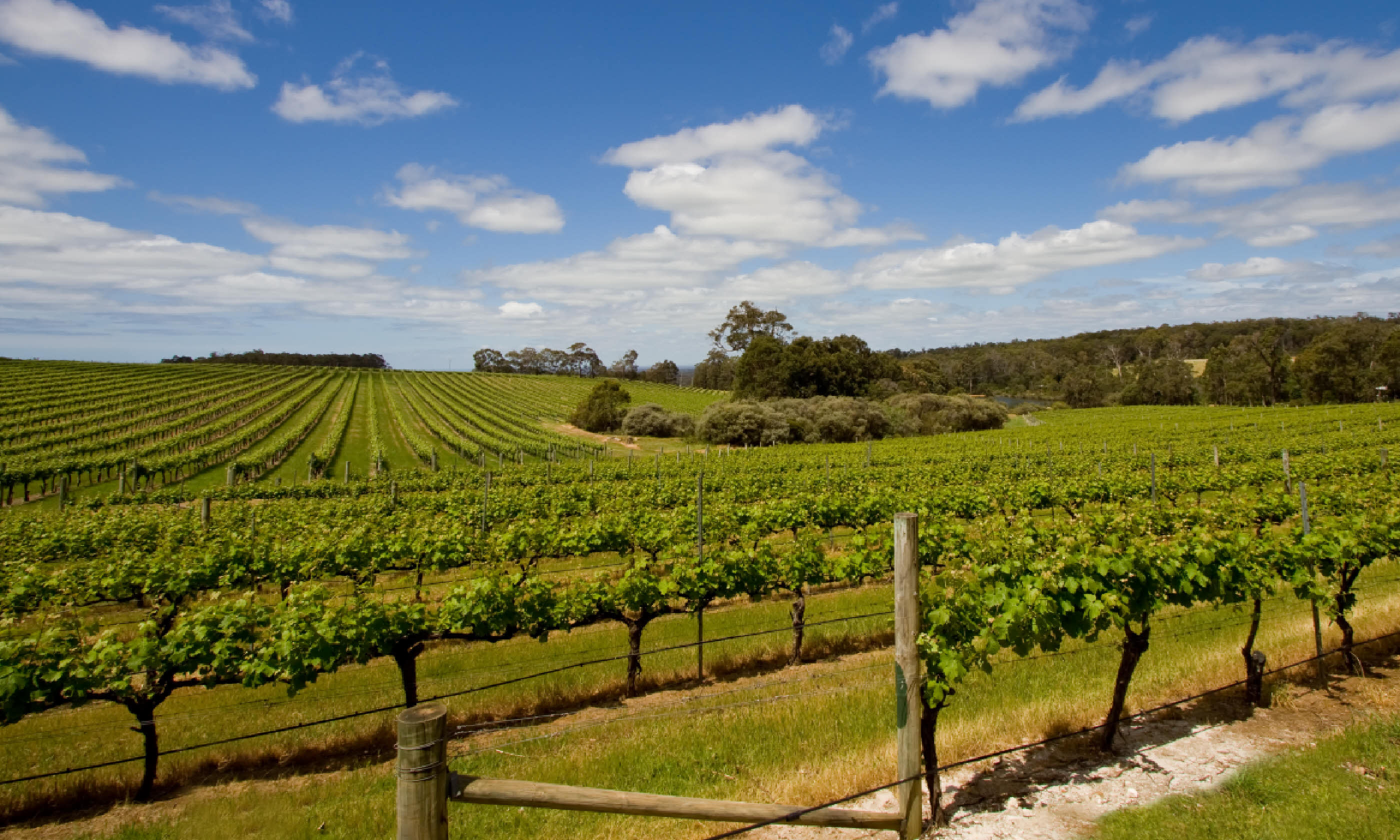 Margaret River (Shutterstock)