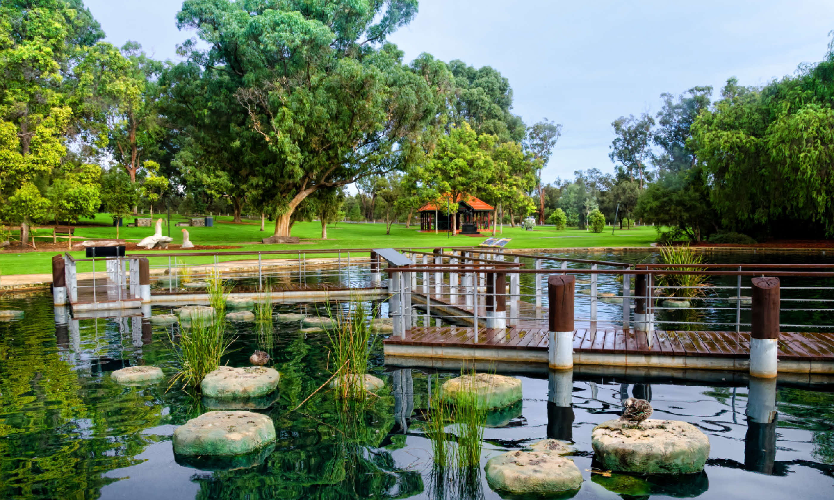 Kings Park, Perth (Shutterstock)