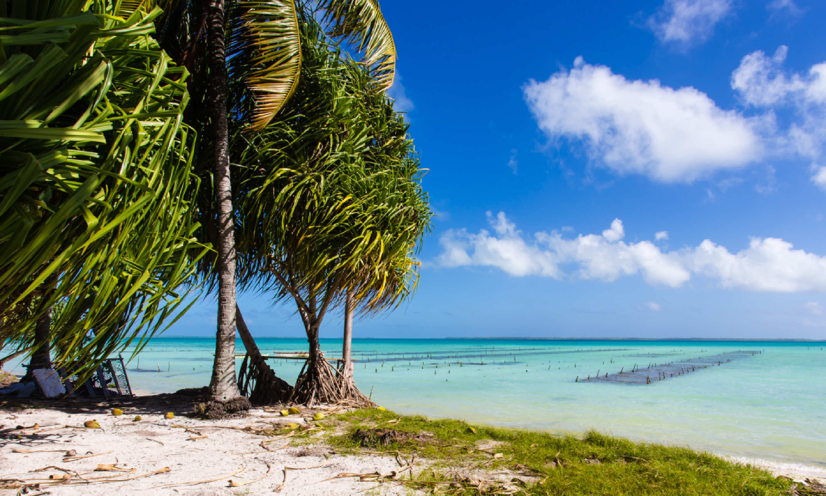 Republic of Kiribati (Shutterstock)