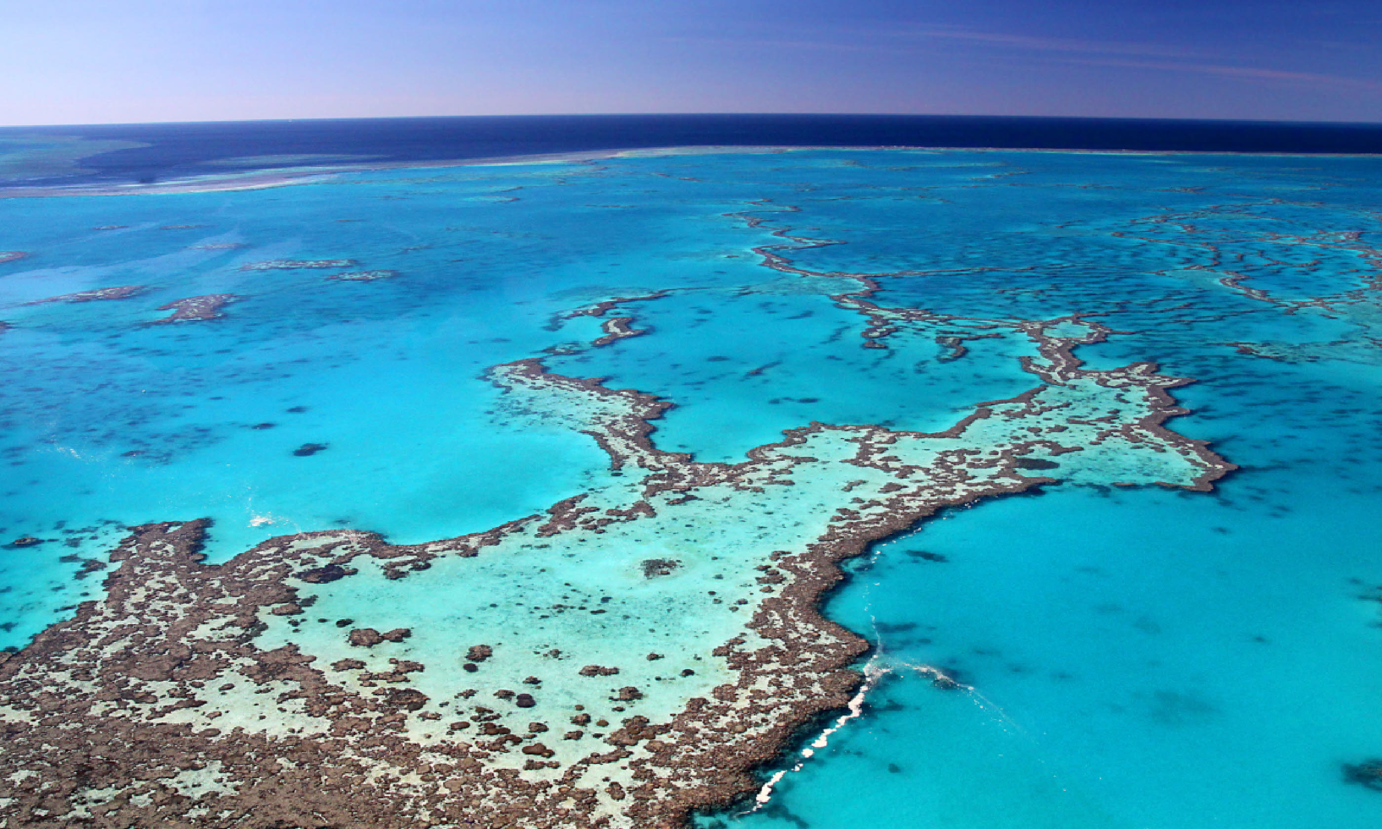 Great Barrier Reef (Shutterstock: see credit below)
