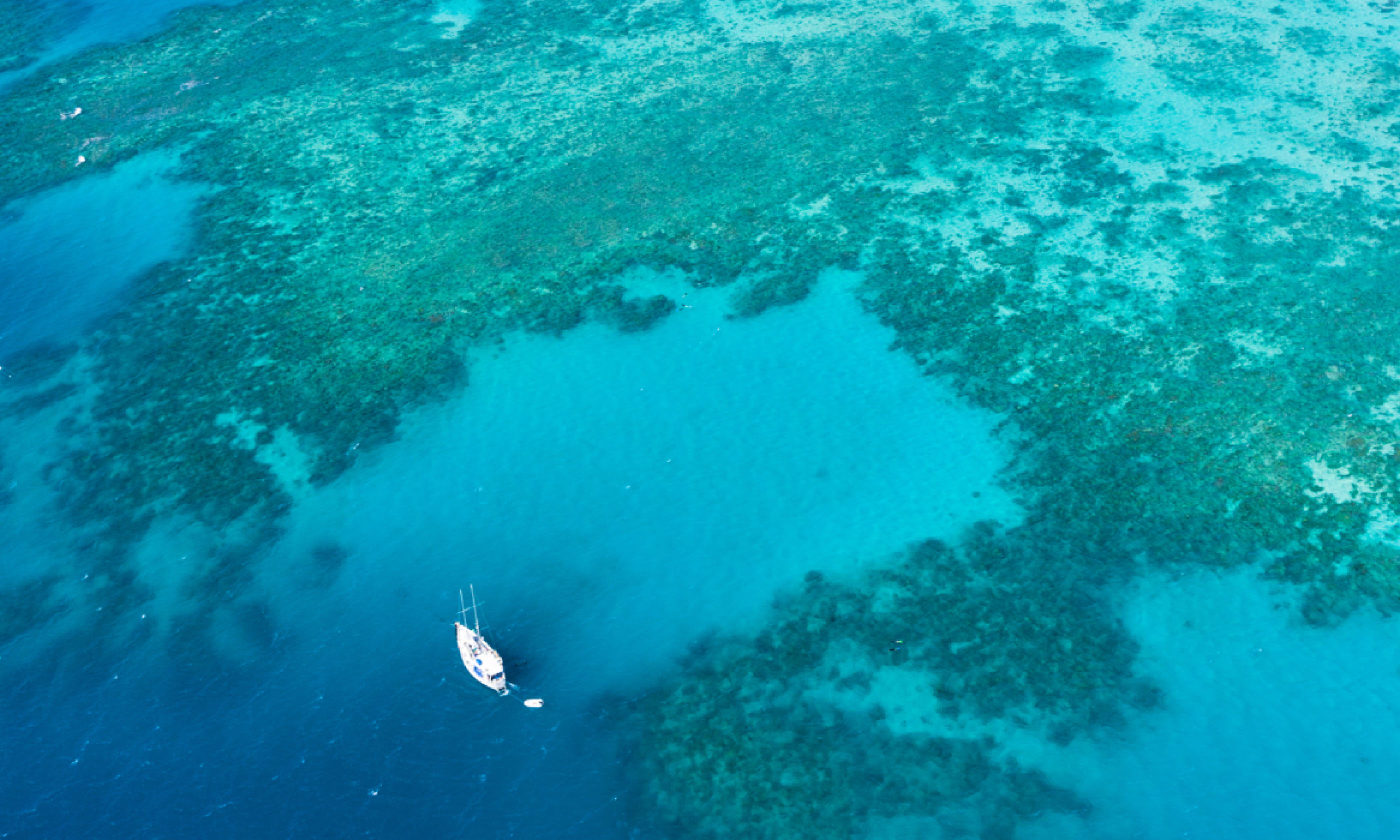 Liveaboard boat on the Great Barrier Reef (Shutterstock)