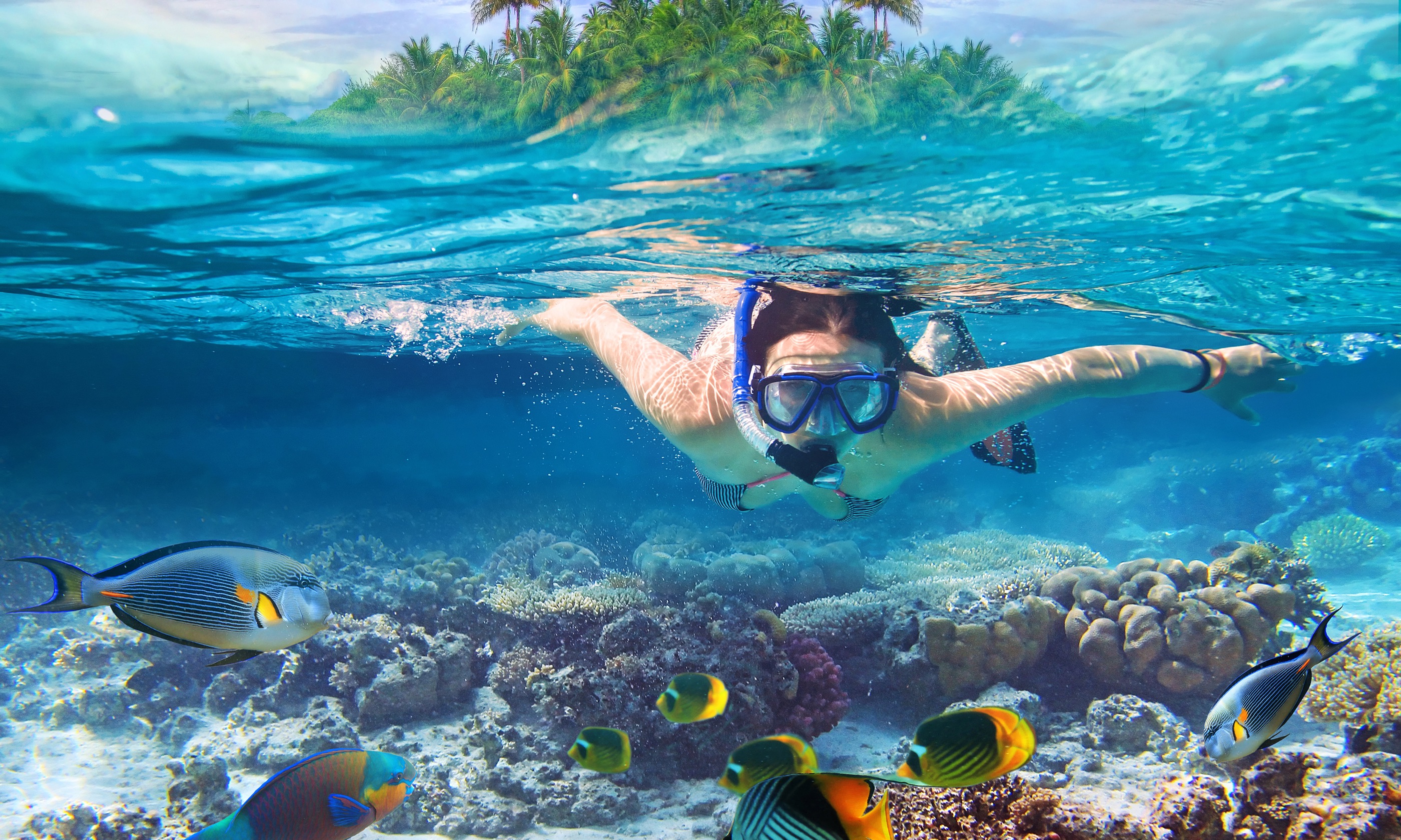 Woman diving in tropical waters (Shutterstock.com)