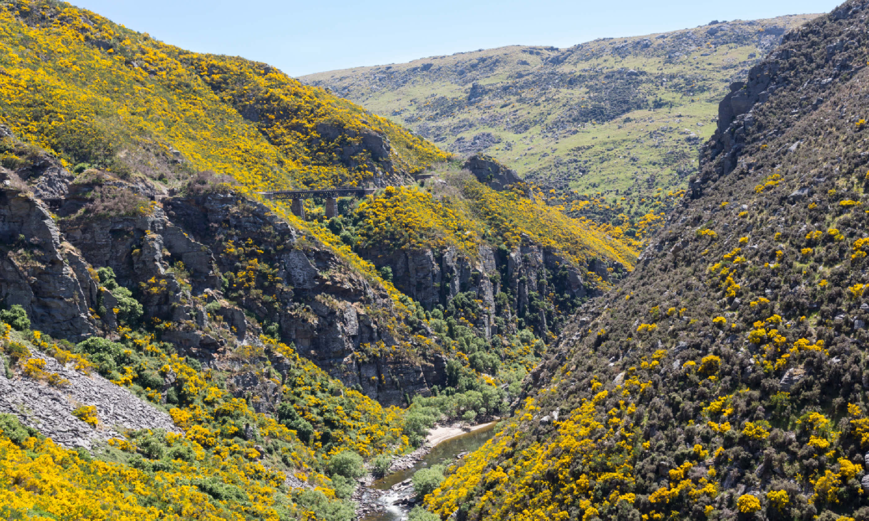 Taieri Gorge (Shutterstock)