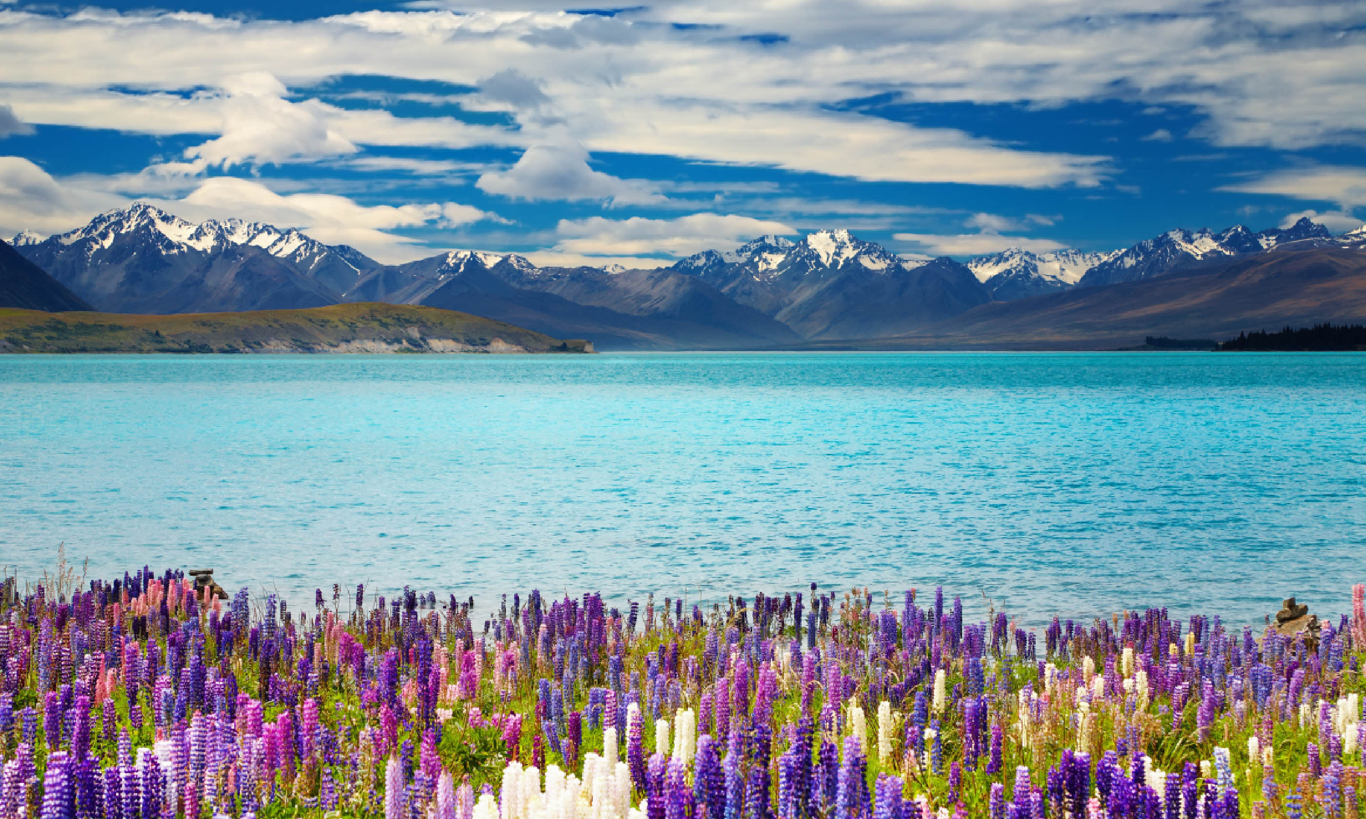 Lake Tekapo, South Island, New Zealand (Shutterstock: see credit below)