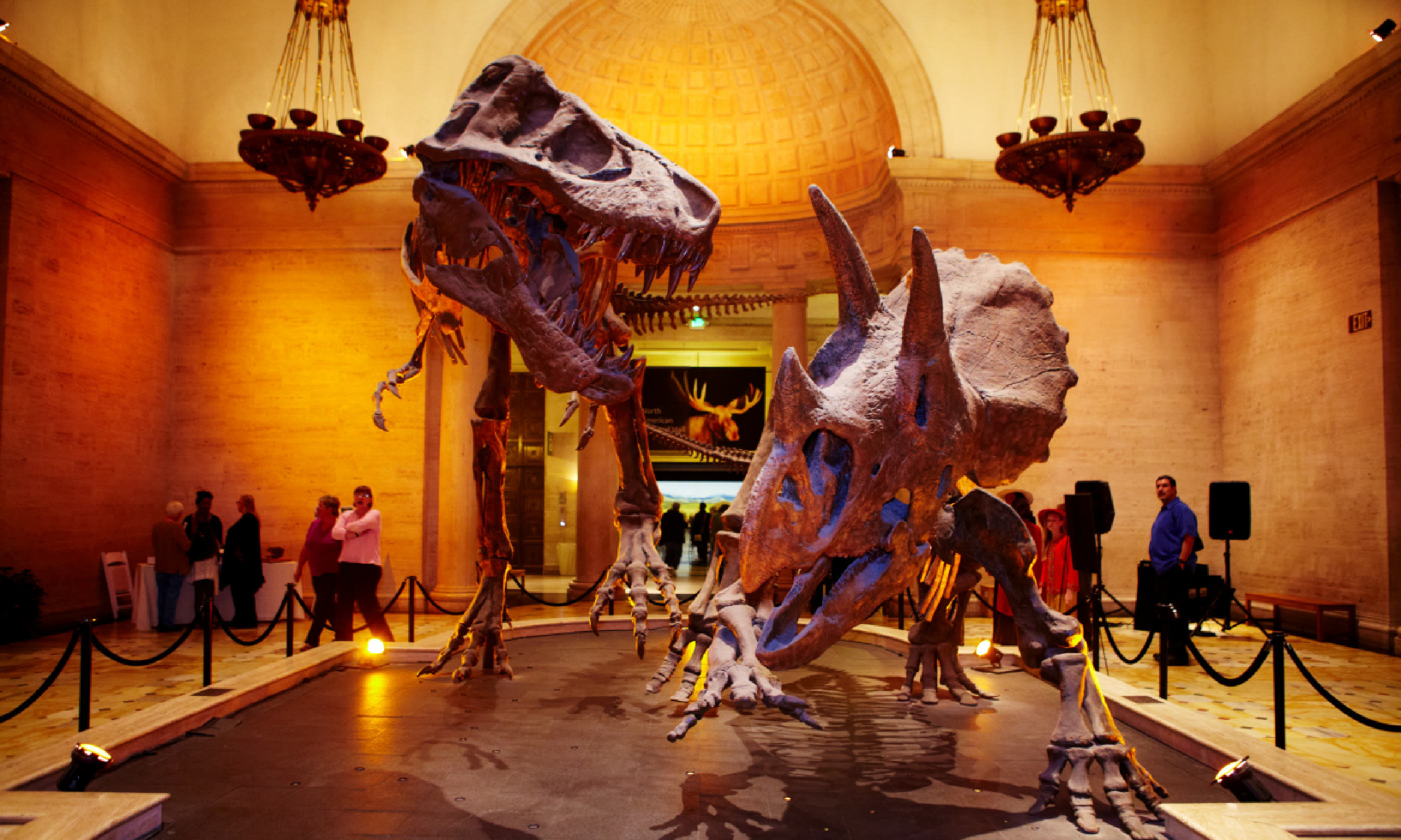 Natural History Museum, LA