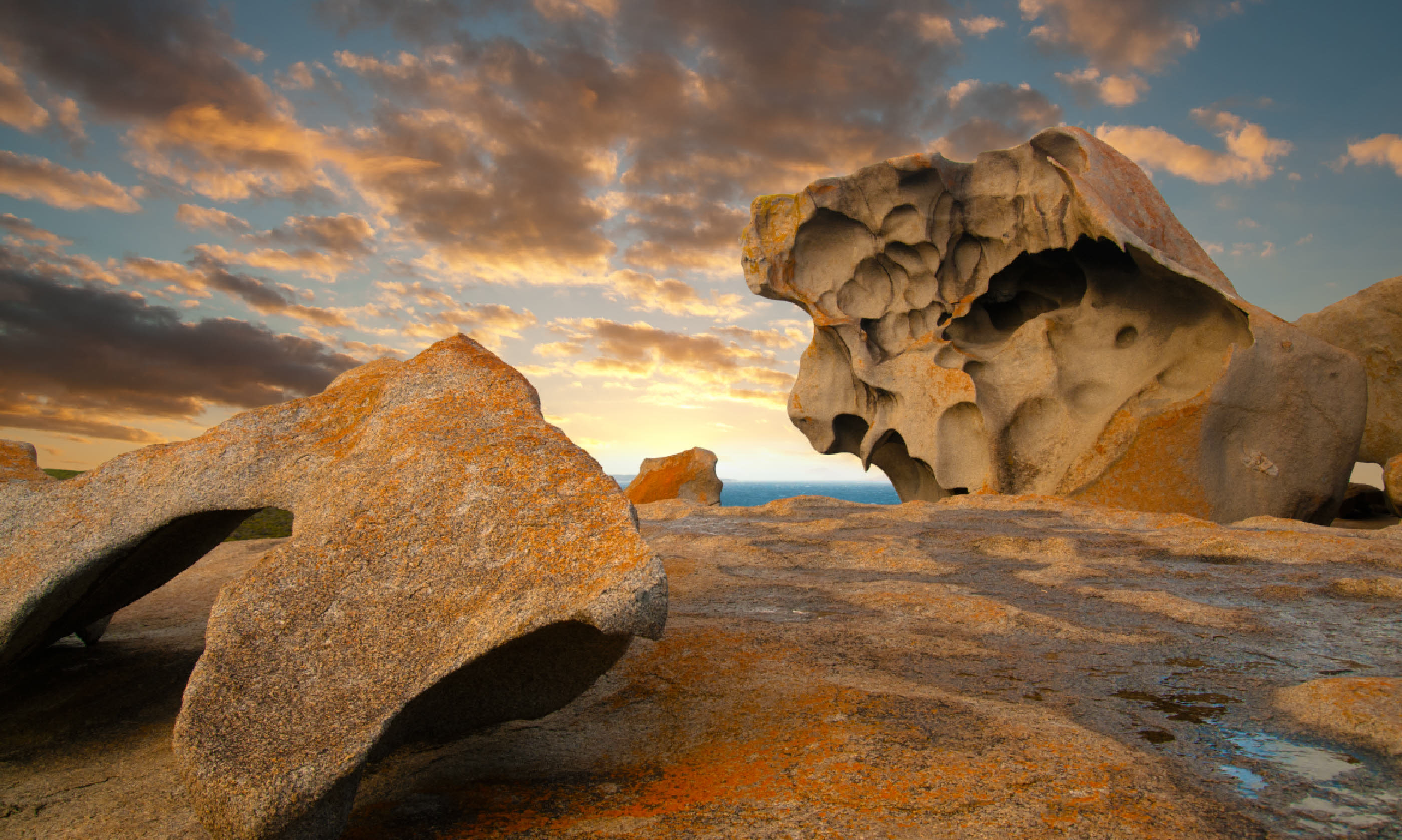 Kangaroo Island coastline (Shutterstock)