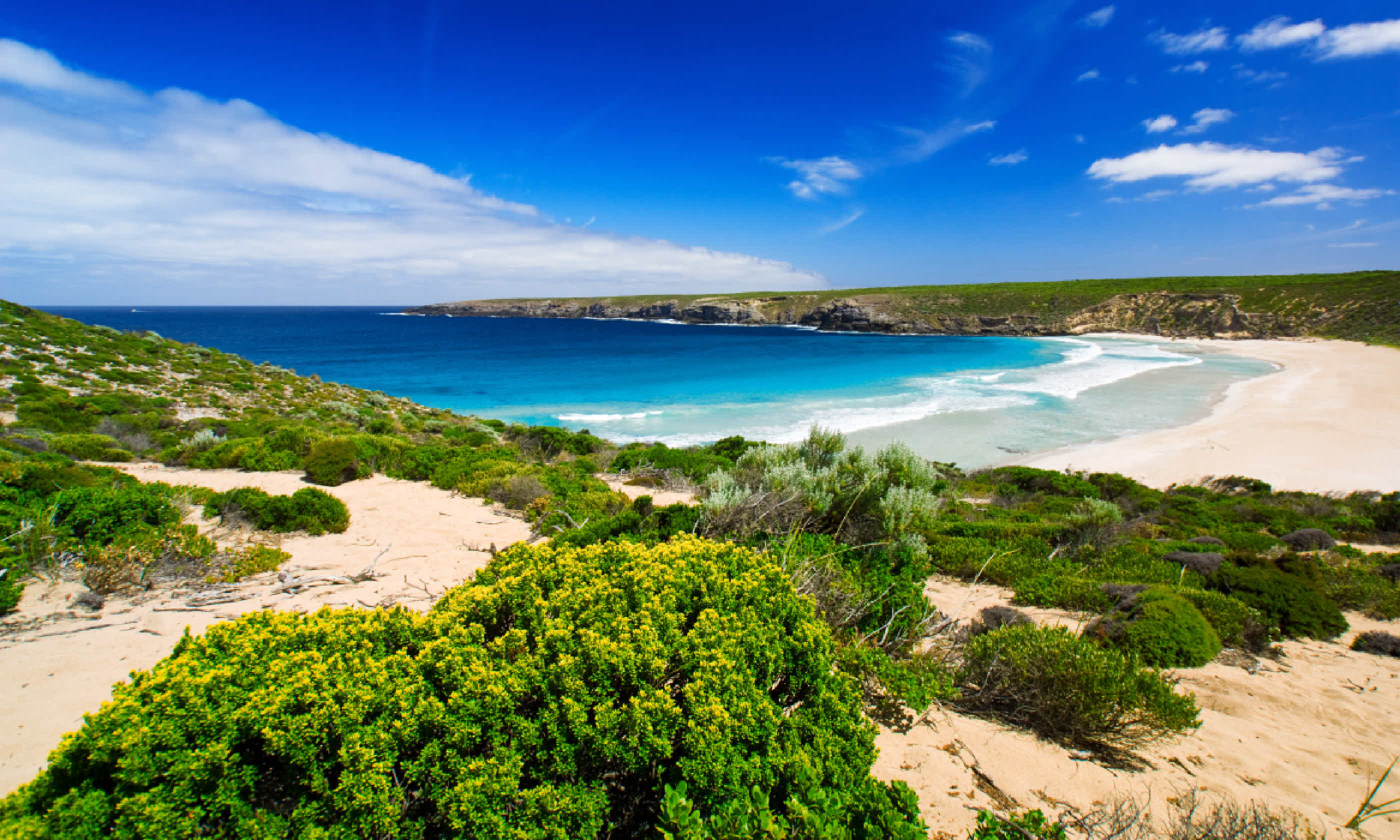 West Bay on Kangaroo Island (Shutterstock)
