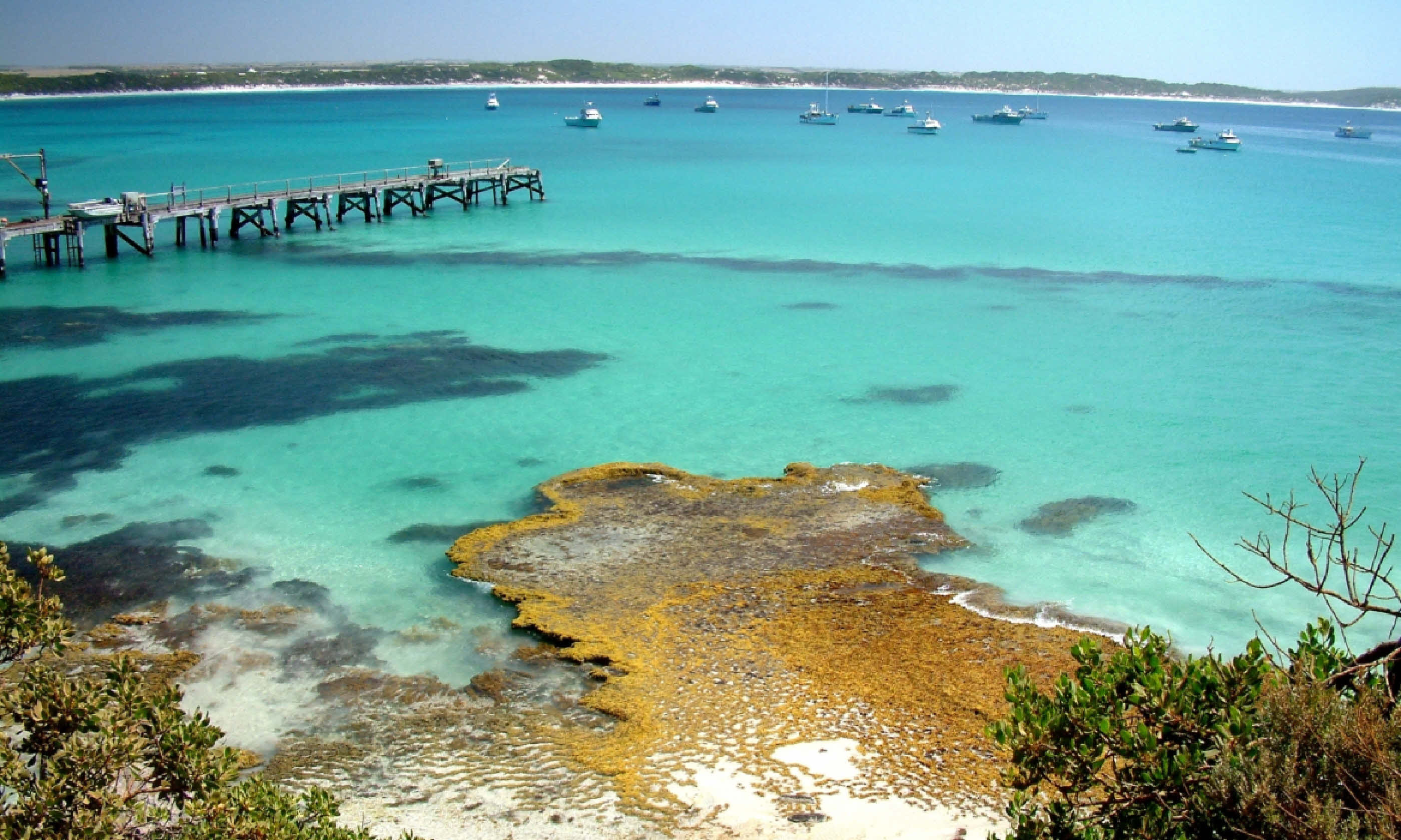 Vivonne Bay, Kangaroo Island (Shutterstock)