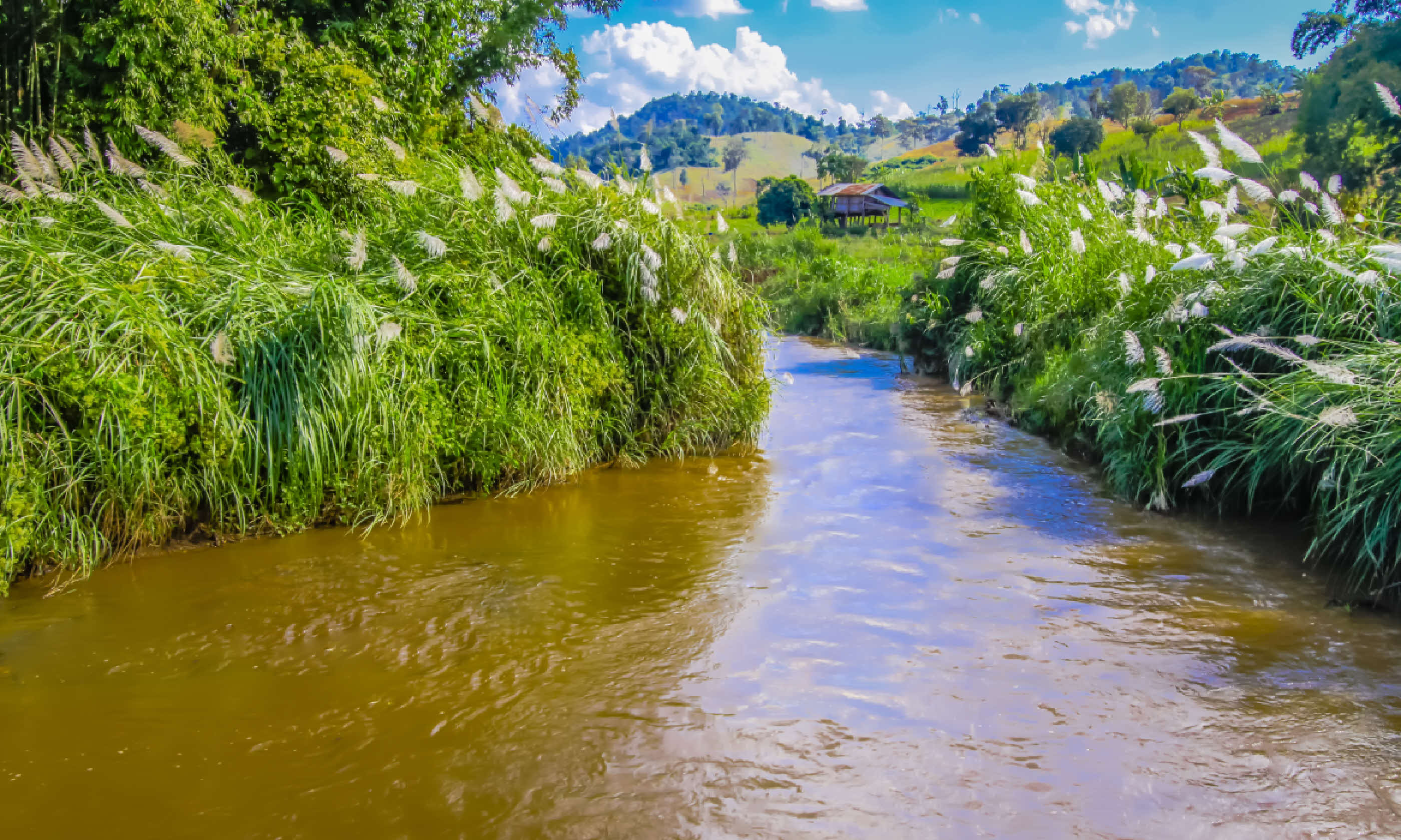 River and hut, Papua New Guinea (Shutterstock)