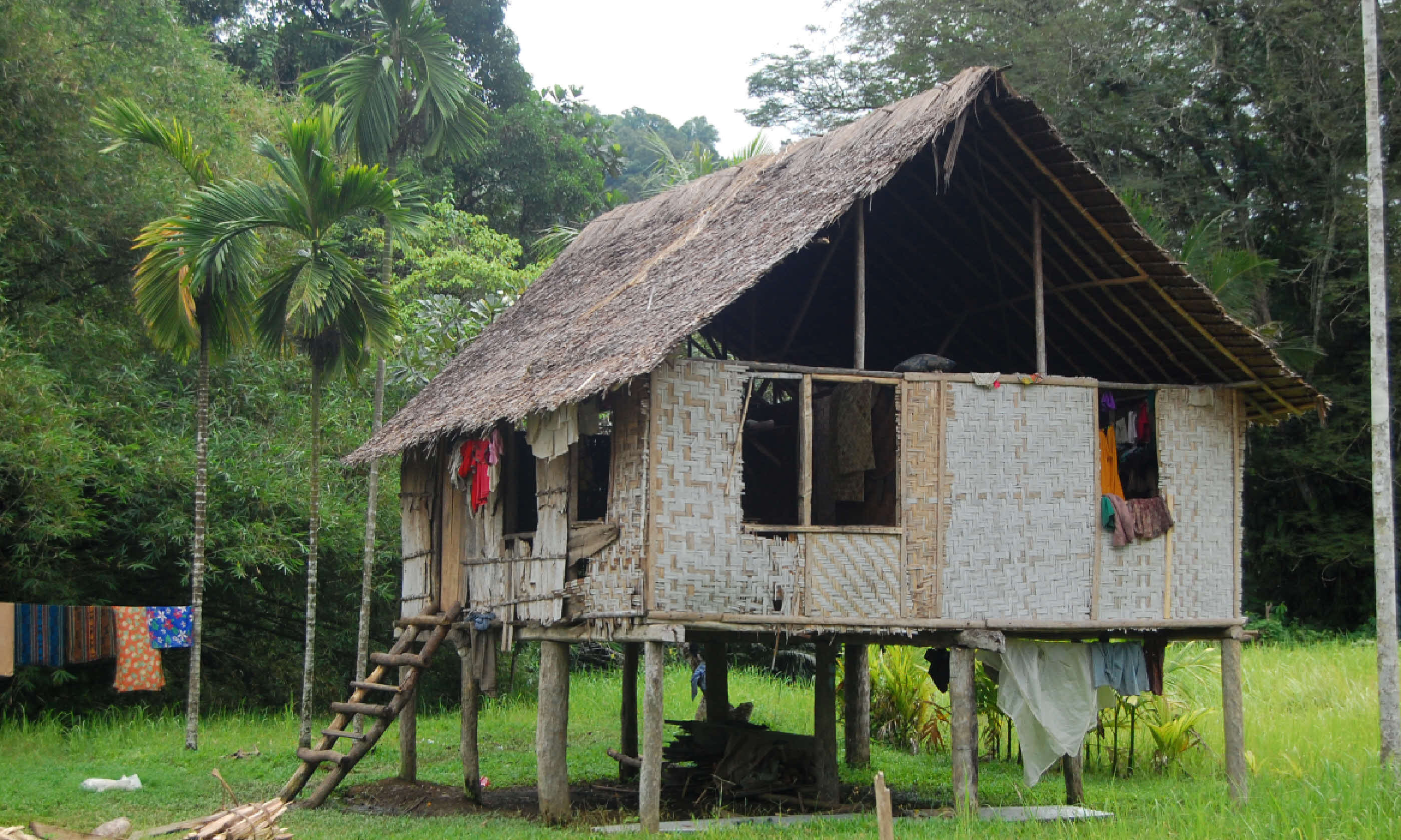 Village House, Papua New Guinea (Shutterstock)