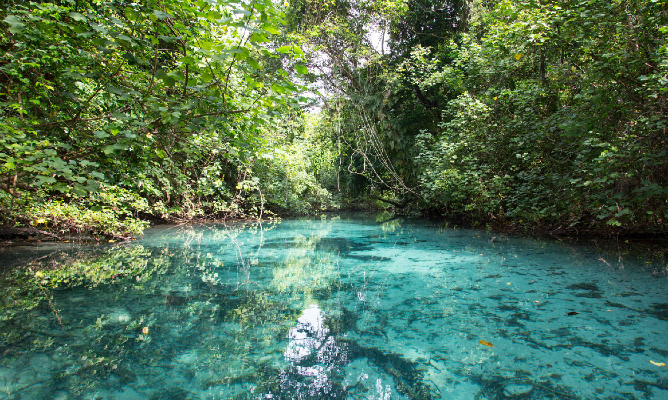 Blue Hole, Vanuatu (Shutterstock)