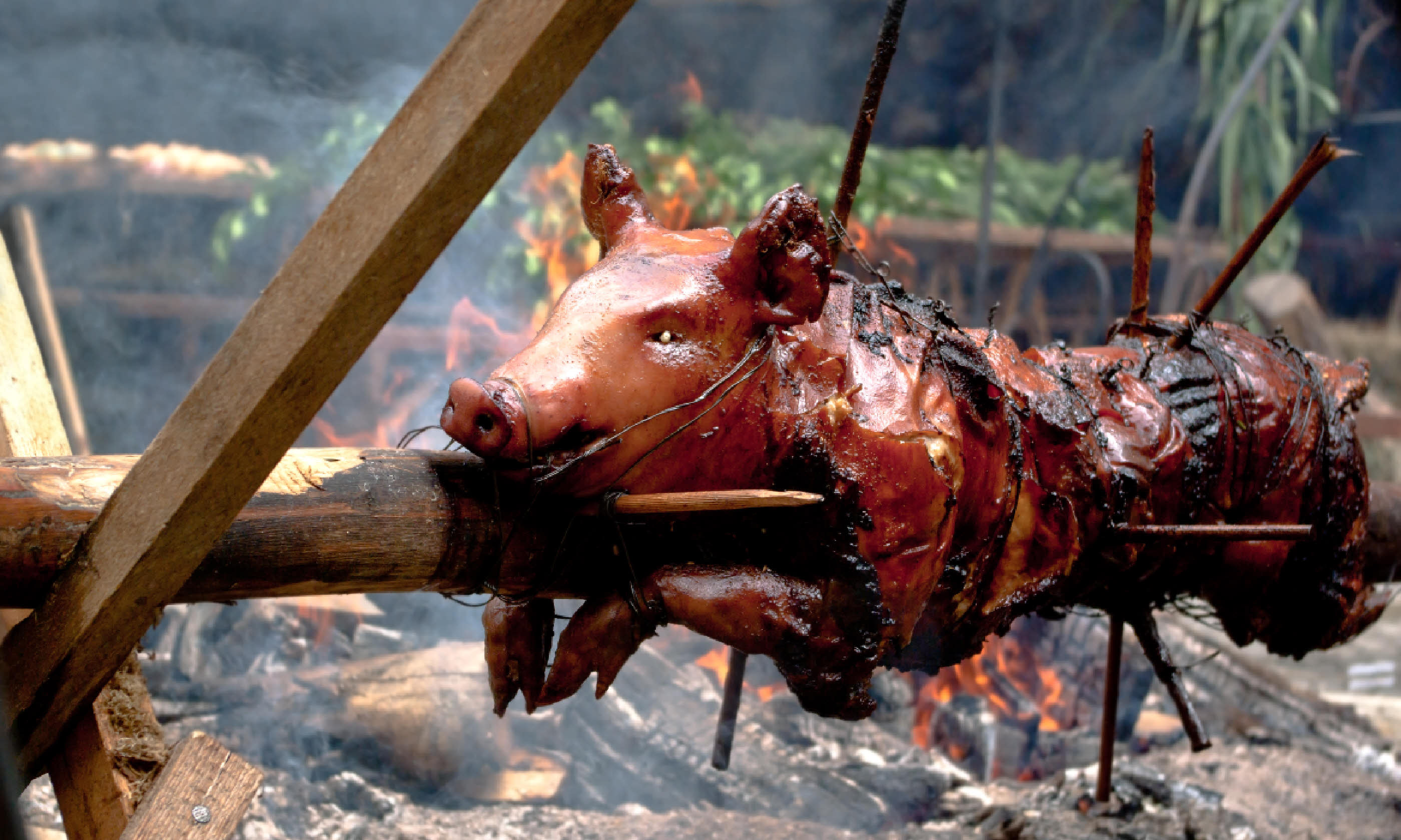 Roasted pig (Shutterstock)