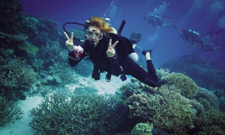 There's more to the Great Barrier Reef than diving, as Ben Southall explains (Dreamstime)