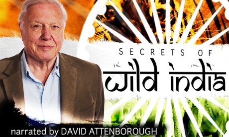 David Attenborough