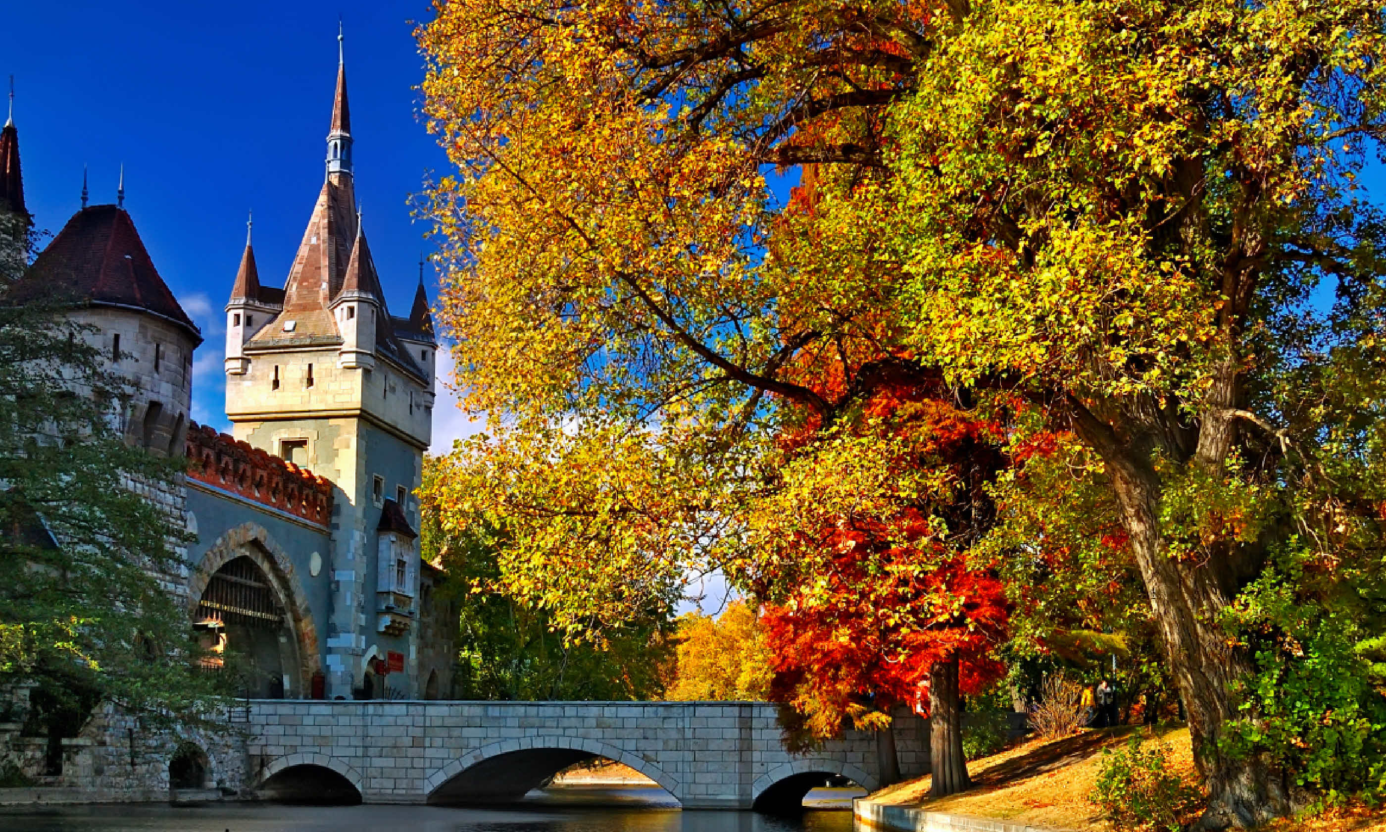 Budapest (Shutterstock)