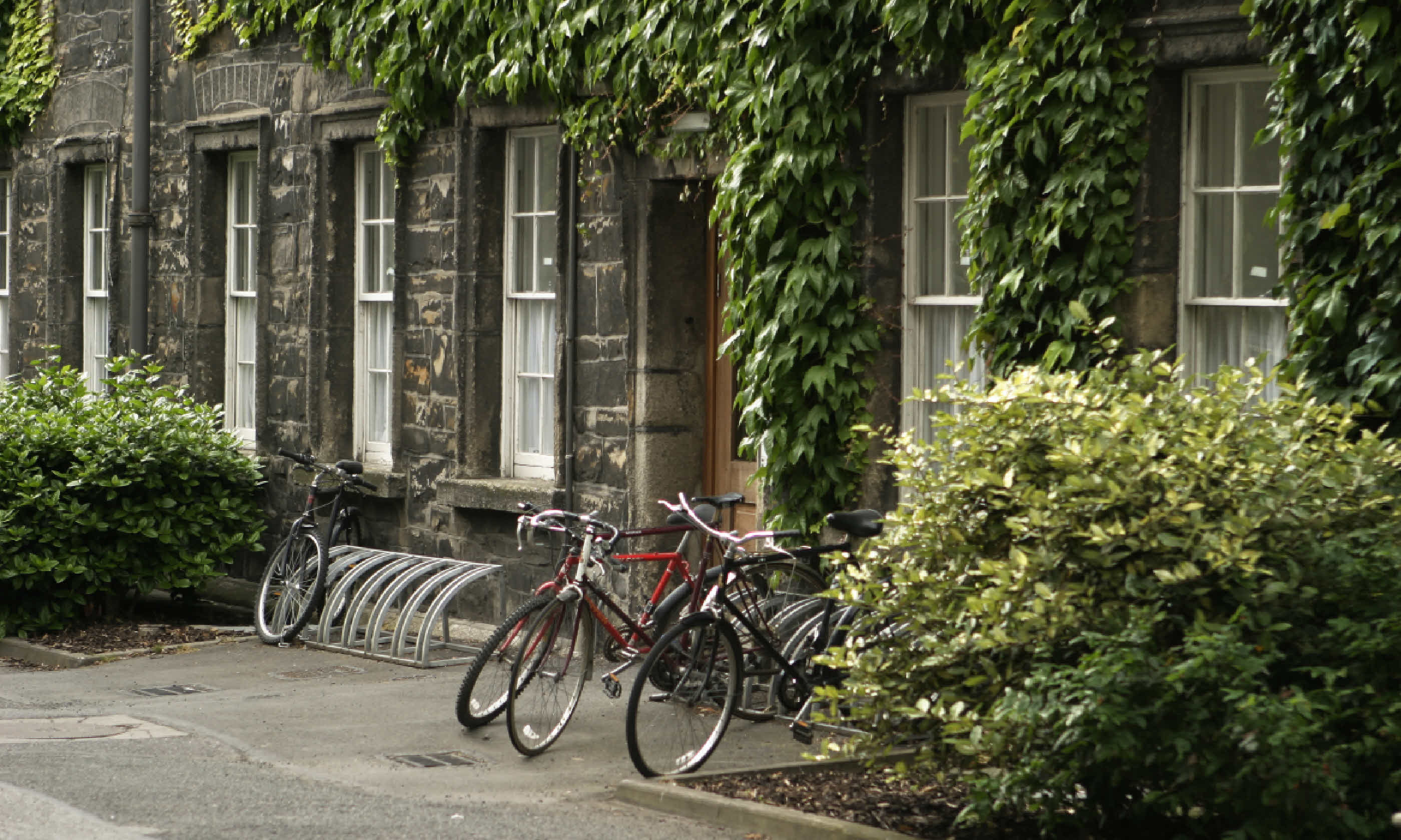 Trinity College in Dublin (Shutterstock)