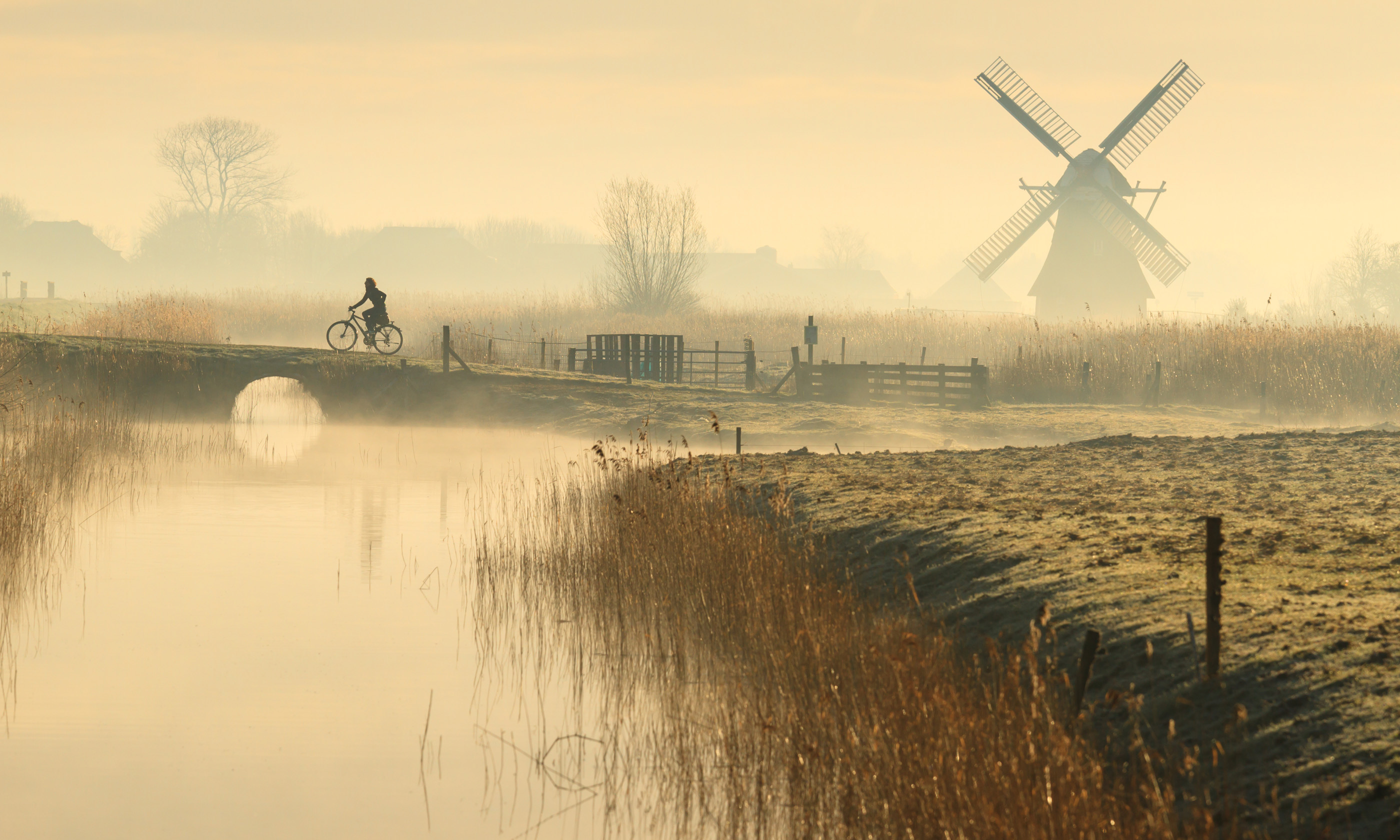 Foggy Spring sunrise in Holland (Shutterstock.com. See main credit below)