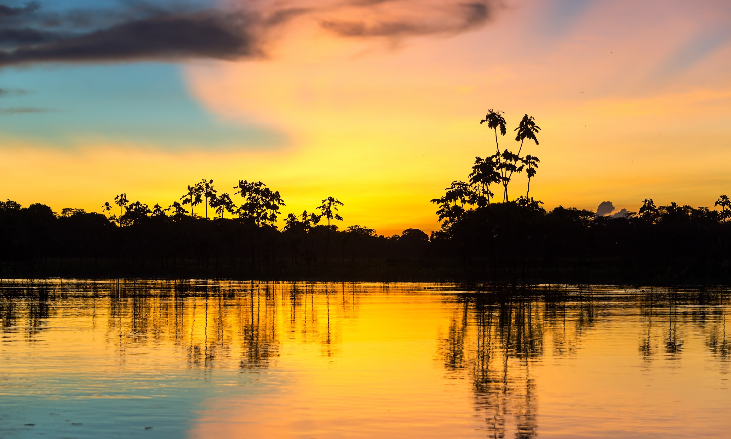 Sunset over the Amazon in Peru (Shutterstock.com. See main credit below)