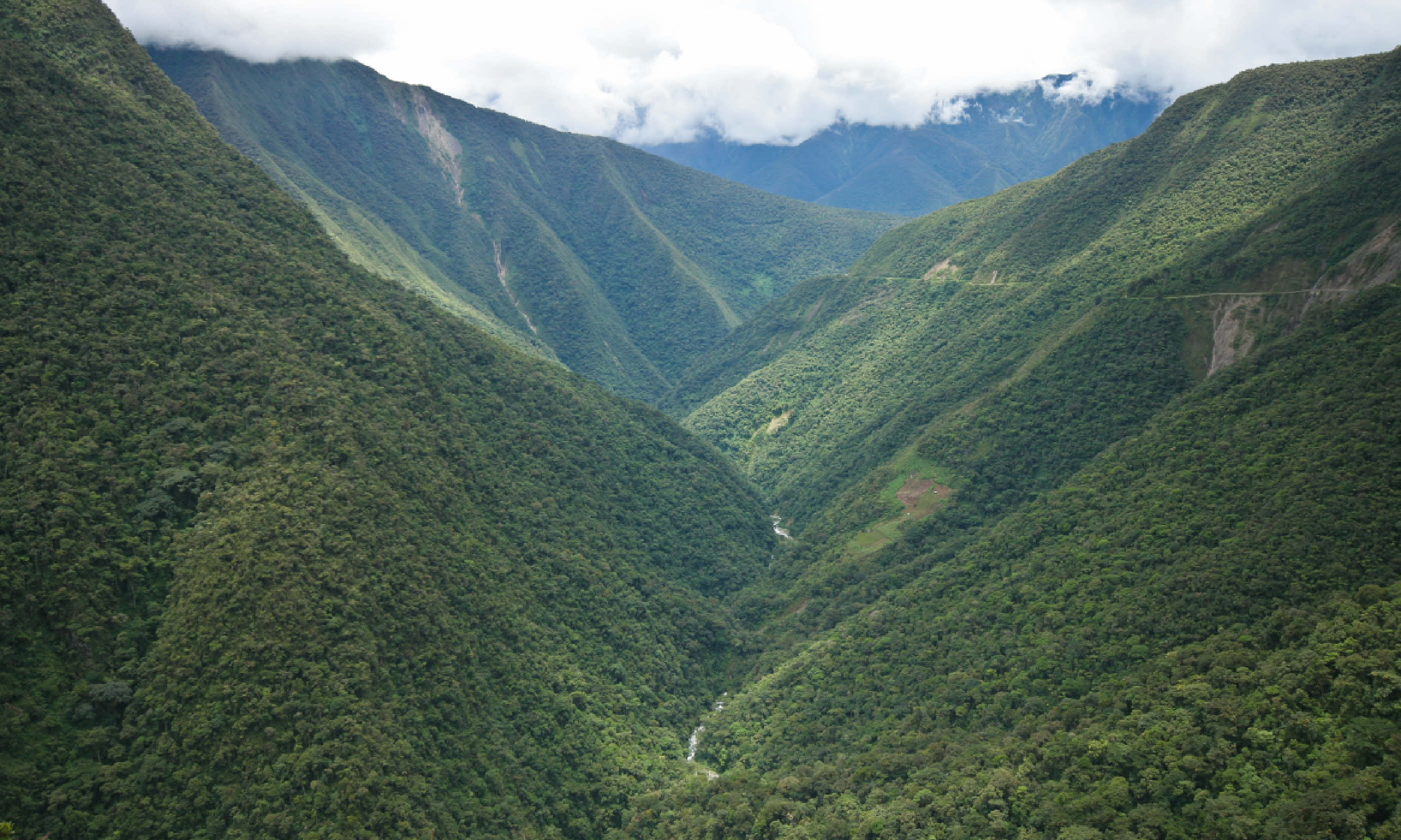 Yungas region of Bolivia (Shutterstock)